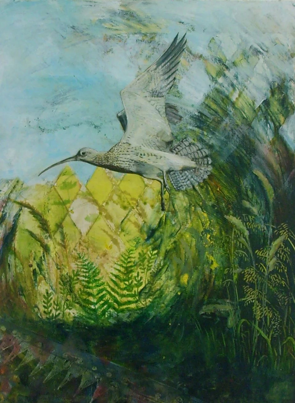 10 Curlew Oil on Board 60x45cm 1100.JPG