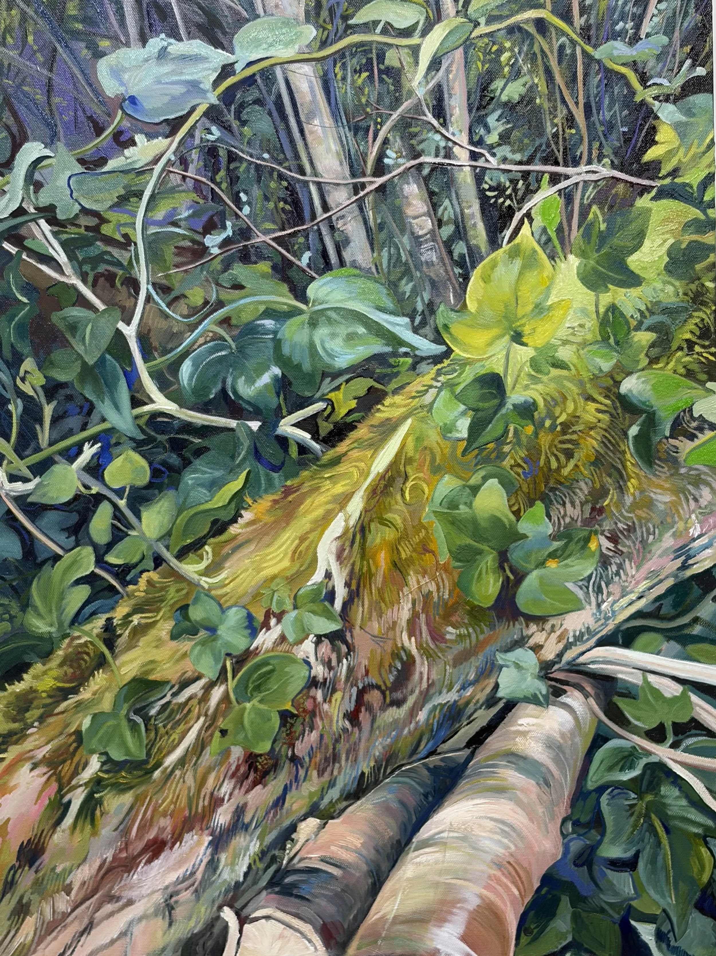 Marita O'Hanlon - Ivy - Oil on Canvas - 70 x 50cm - 420.jpeg
