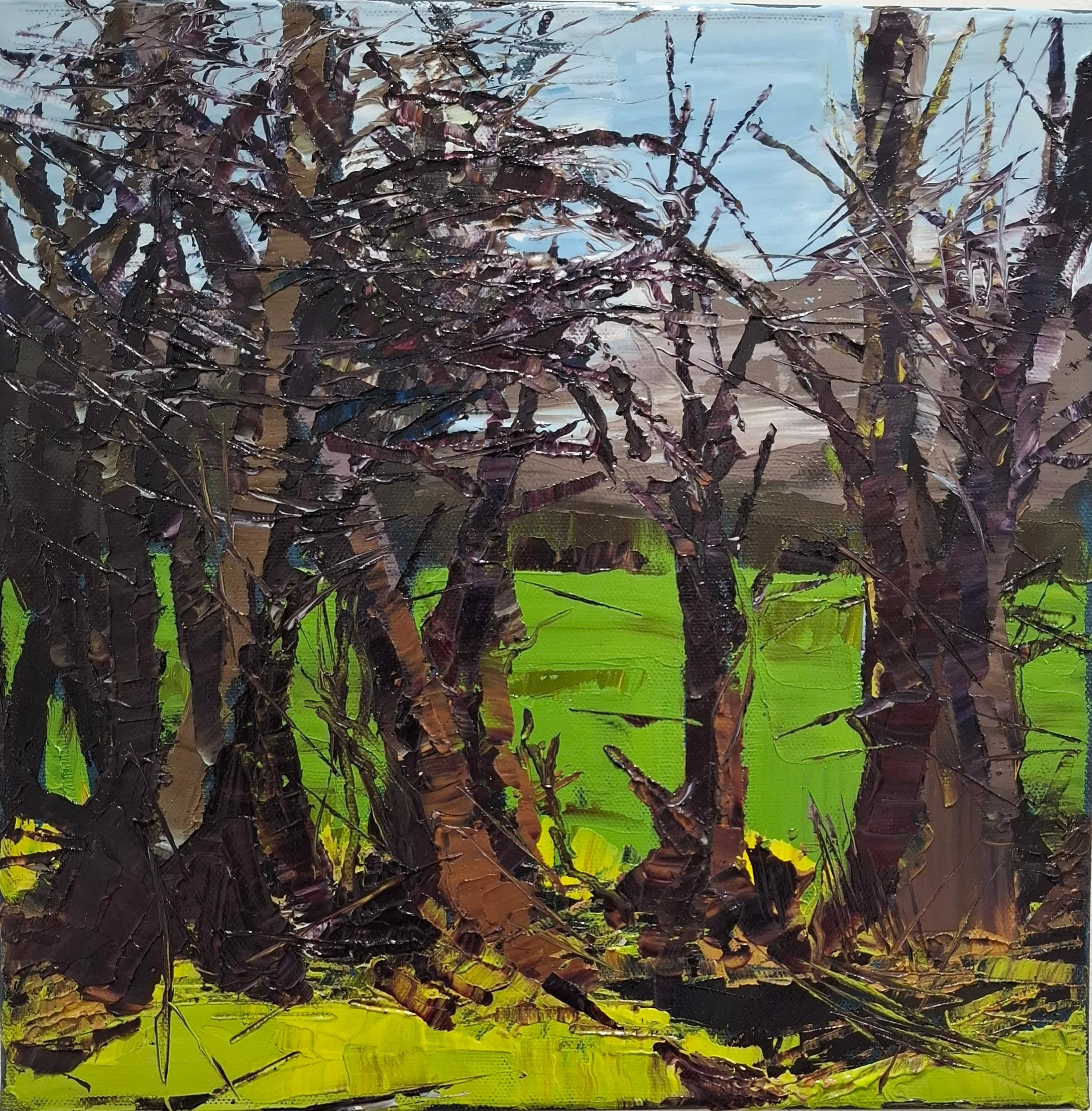 Martina Hamilton Winter 2025 Oil on Canvas 30x30cm.jpg