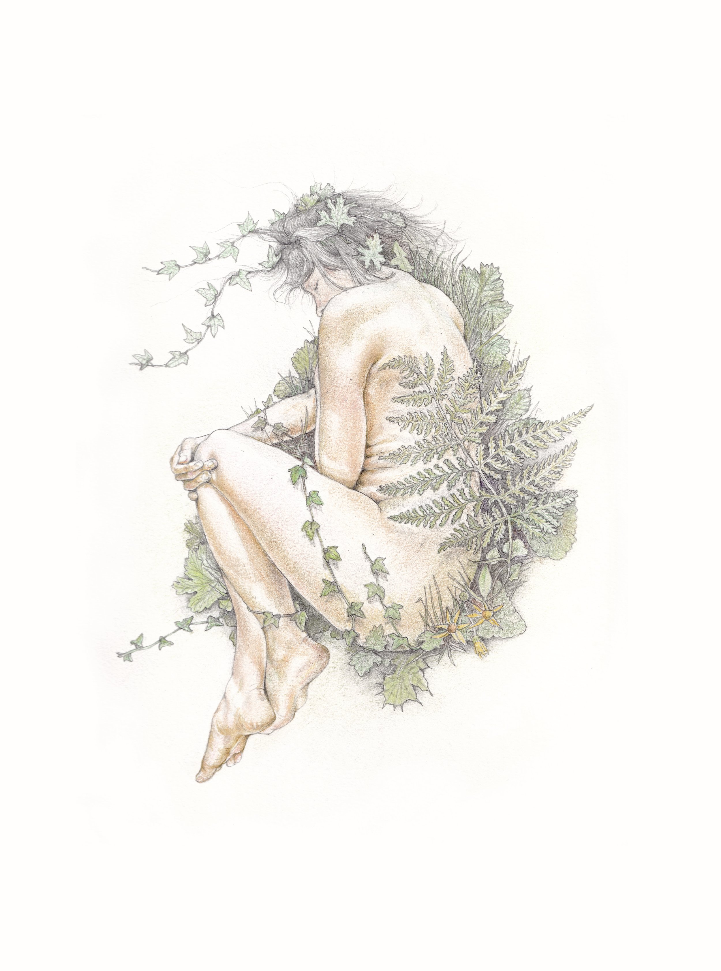 FionaCarswell-Burrowed-Pencil_on_paper-25x34cm-500euro.jpg