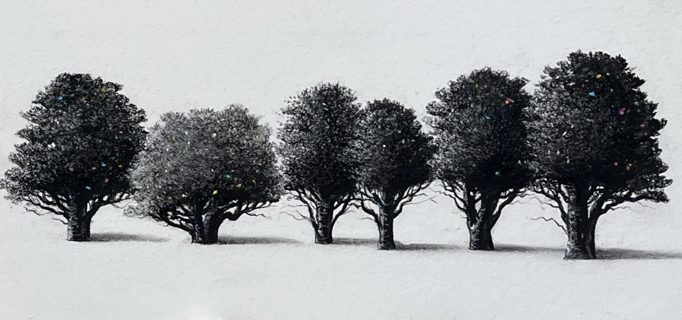 Sorca O'Farrell 'line up'charcoal 18 x 38 cm-€420.jpg