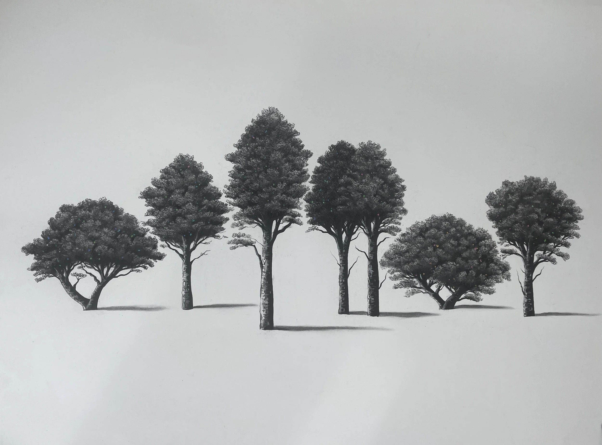 Sorca O'Farrell 'family dynamics' -charcoal 80x100cm €1200.jpg