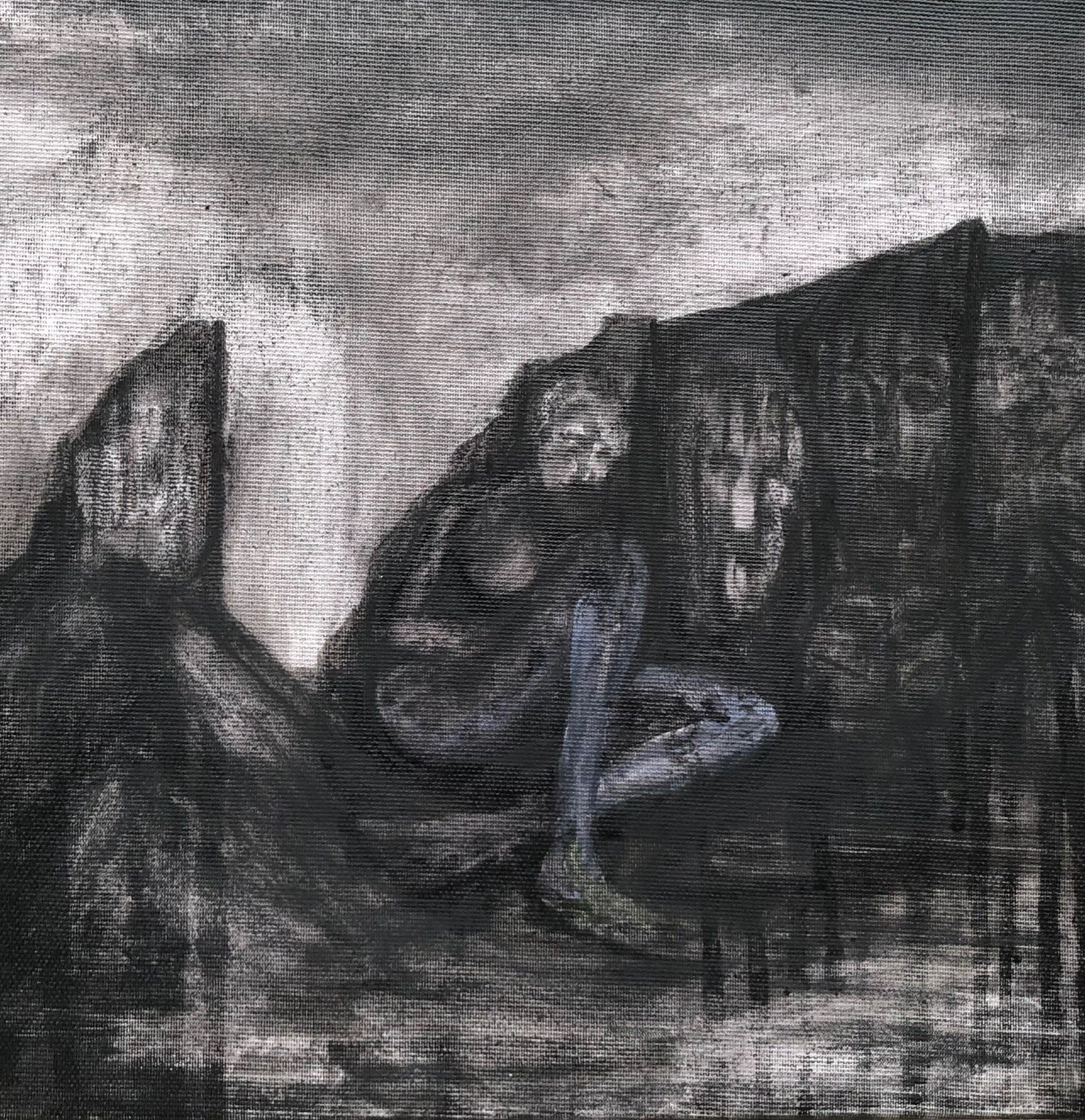 Almha Walsh The Hags Leap Charcoal on Canvas €320.jpeg