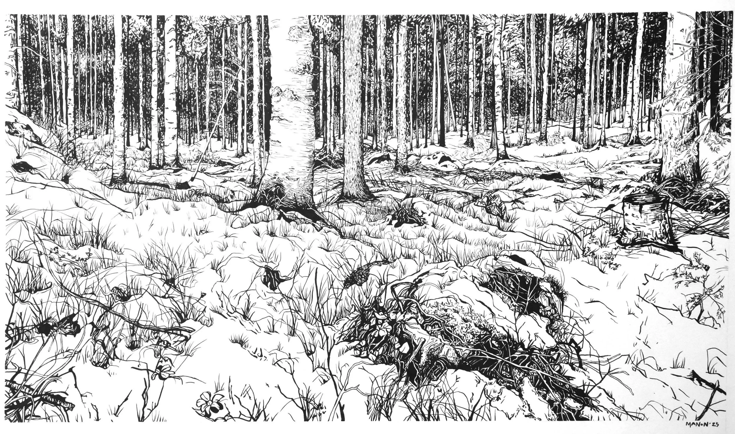 Manon West,Hakoniemi Ink 1,Ink on paper,53x77cm,€900...jpg