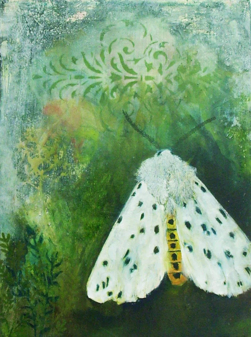 14 White Ermine Oil on Board 40x30cm 620.JPG