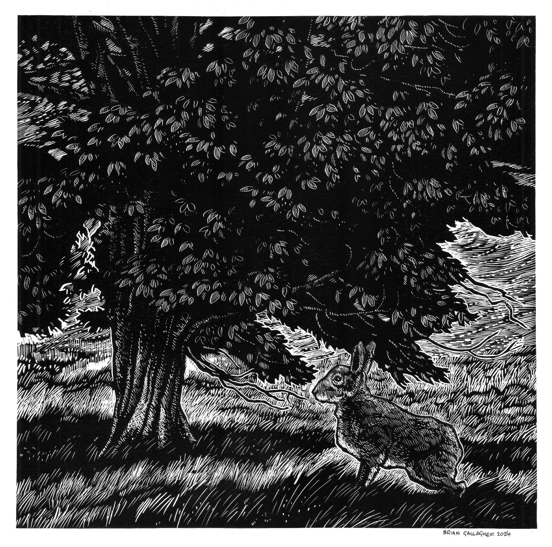 Brian Gallagher Hare in the woods Unique Scraperboard €450.jpg