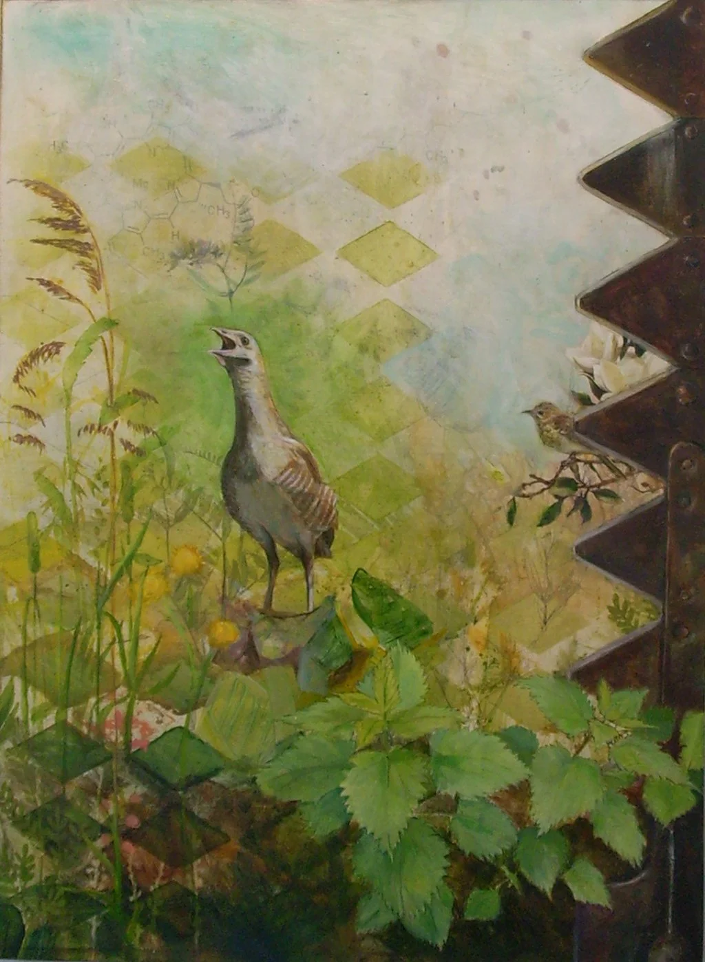 1 CornCrake Oil on Board 60x45cm 110.JPG