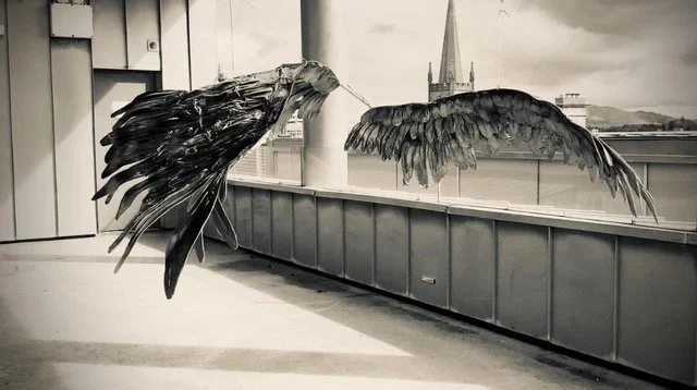 Heidi wickham wings mixed media installation 178x108 750.jpg