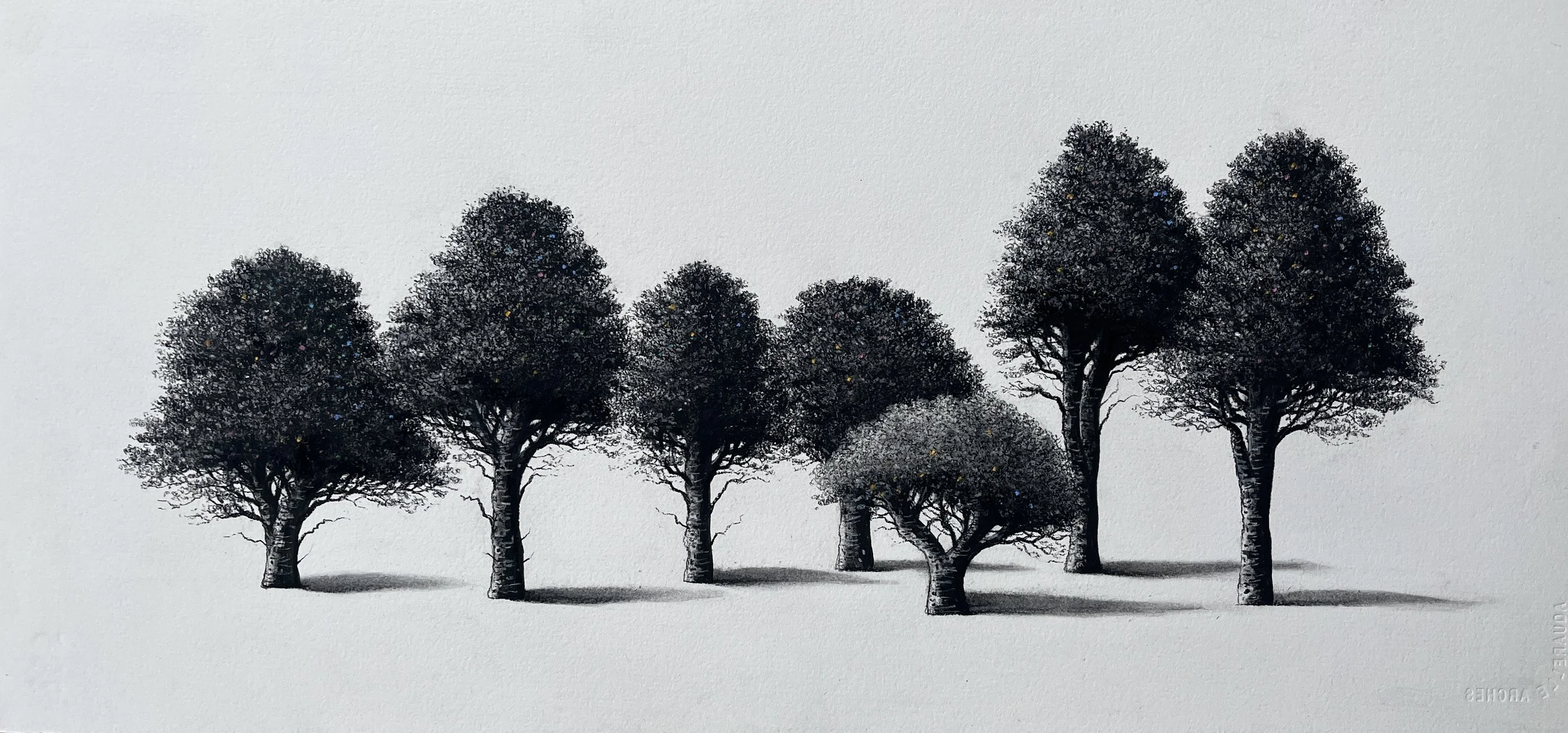 Sorca O'Farrell'seven sisters' charcoal 26 x 50 cm 700.jpg