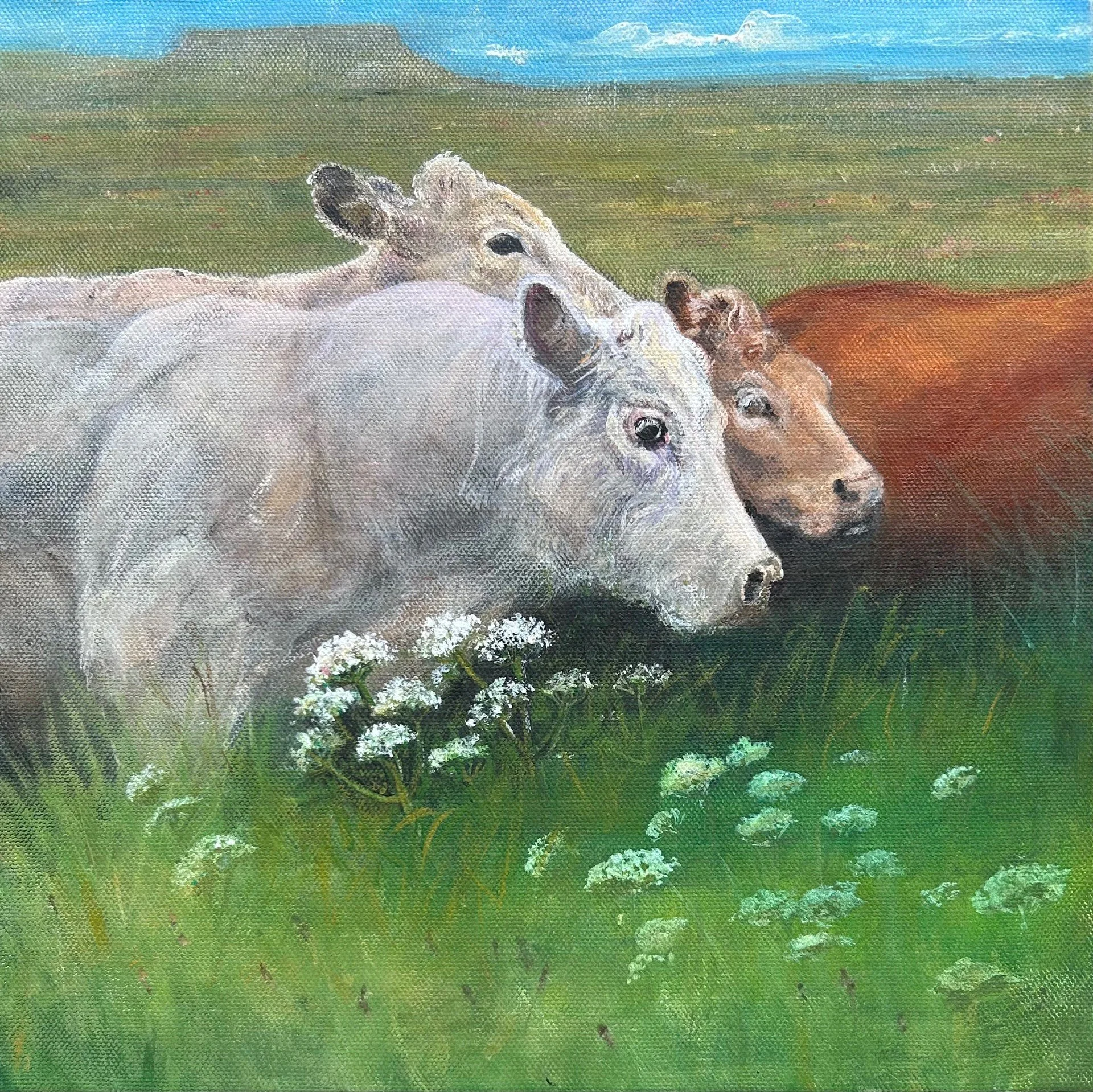 Aideen Connolly Cruinniu  le Cheile 