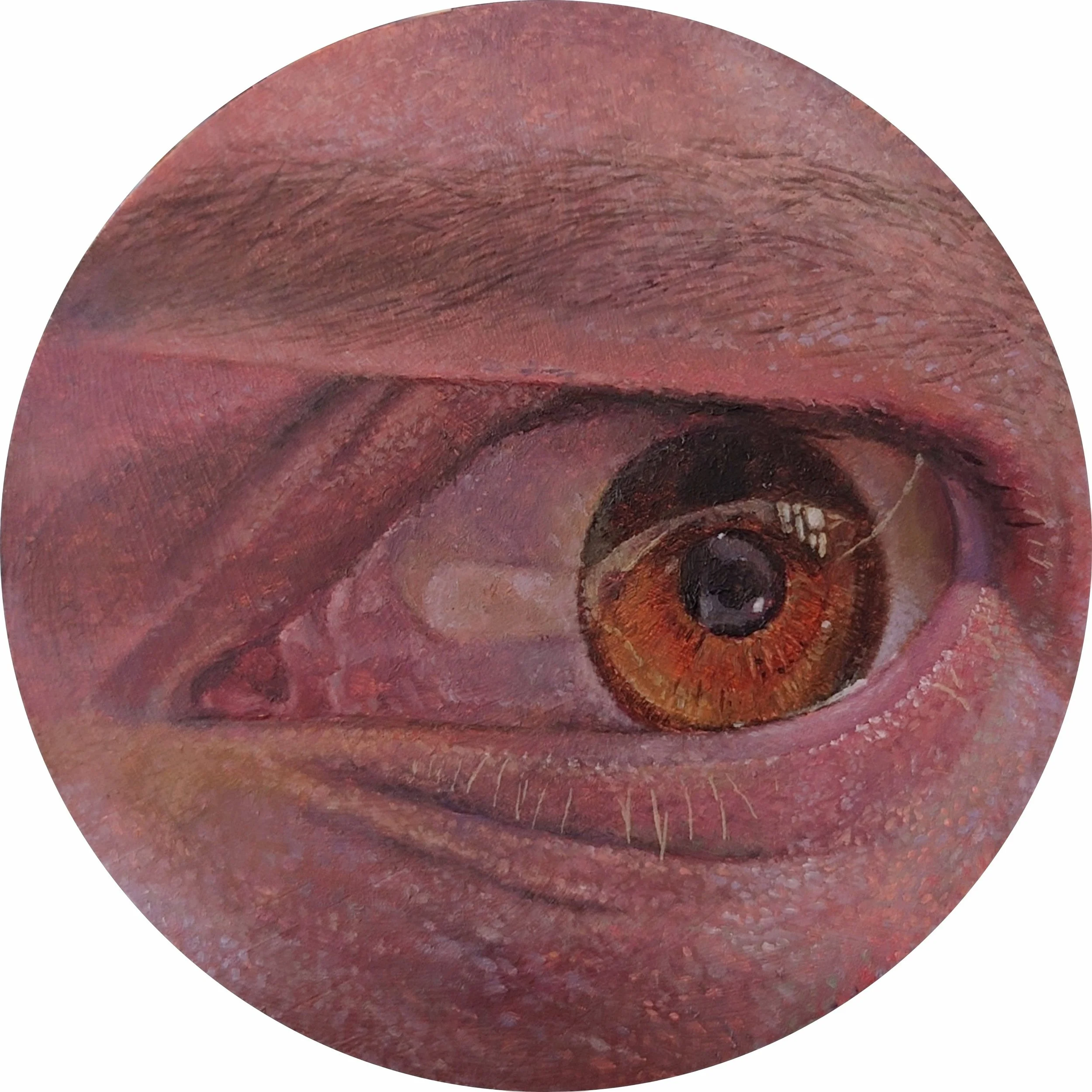 Furor- 10cm x 10cm x0.5cm- Oil on wood on canvas Pillow.jpg