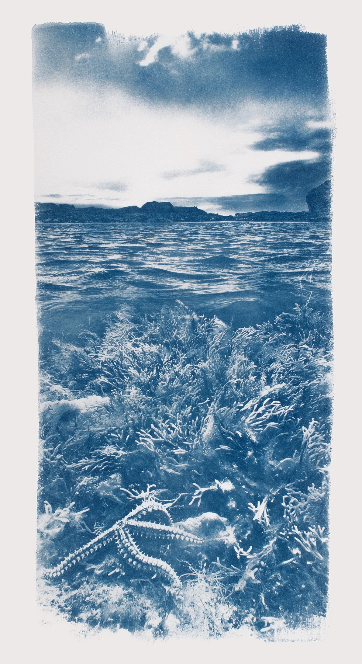 Martin, Rachel - 'Fossil Beach Rockpool' Edition of 5