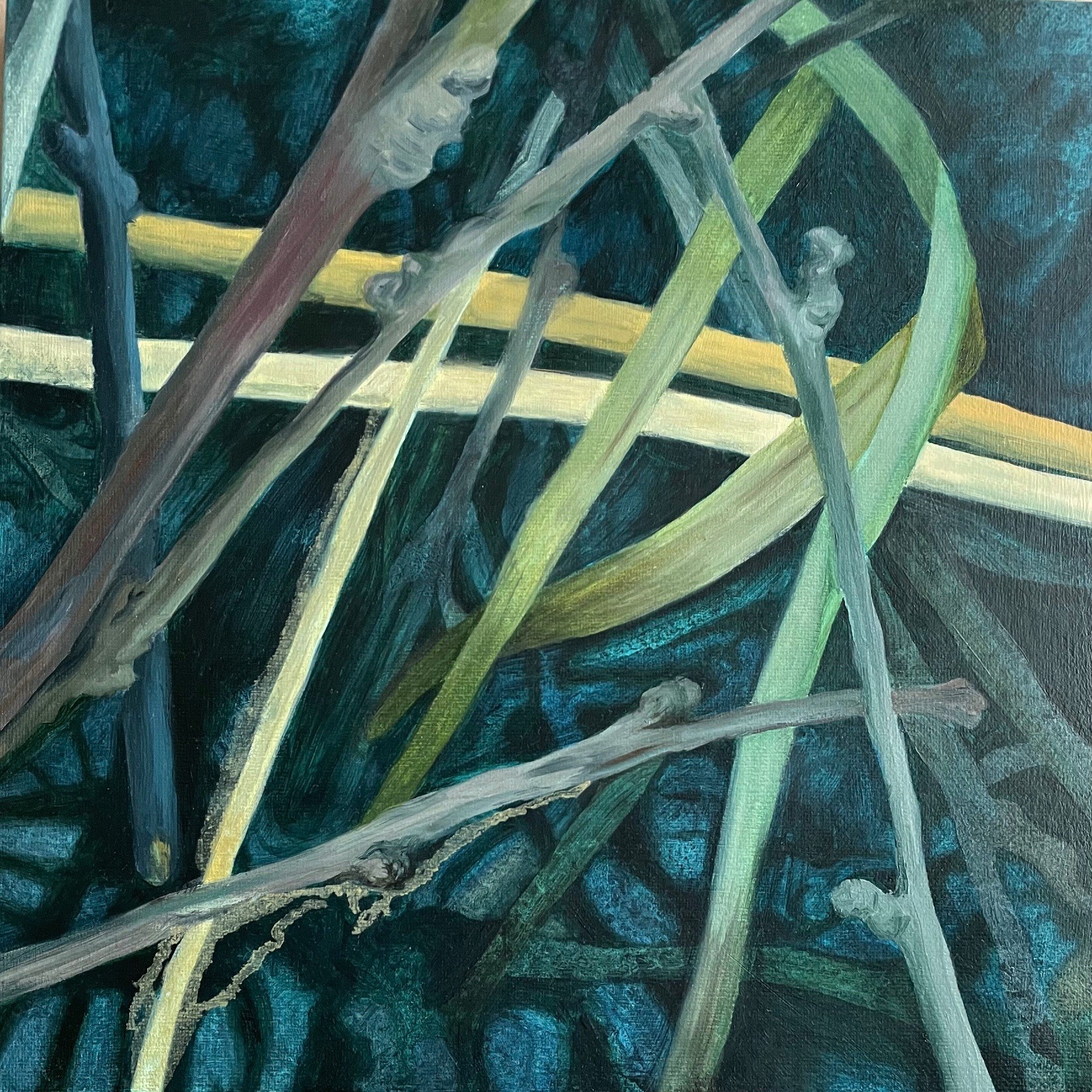 Betty Gannon, Rewetting The Peatlands No 1 