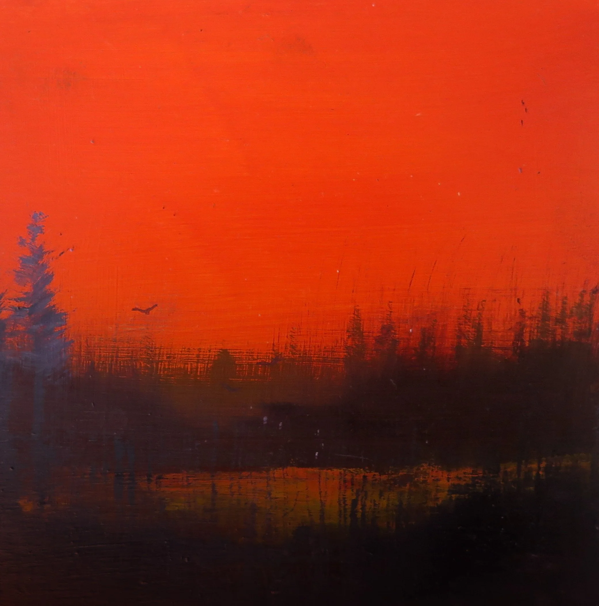 Daniel Chester Orange Bog Study1 25x25cm €240.JPG
