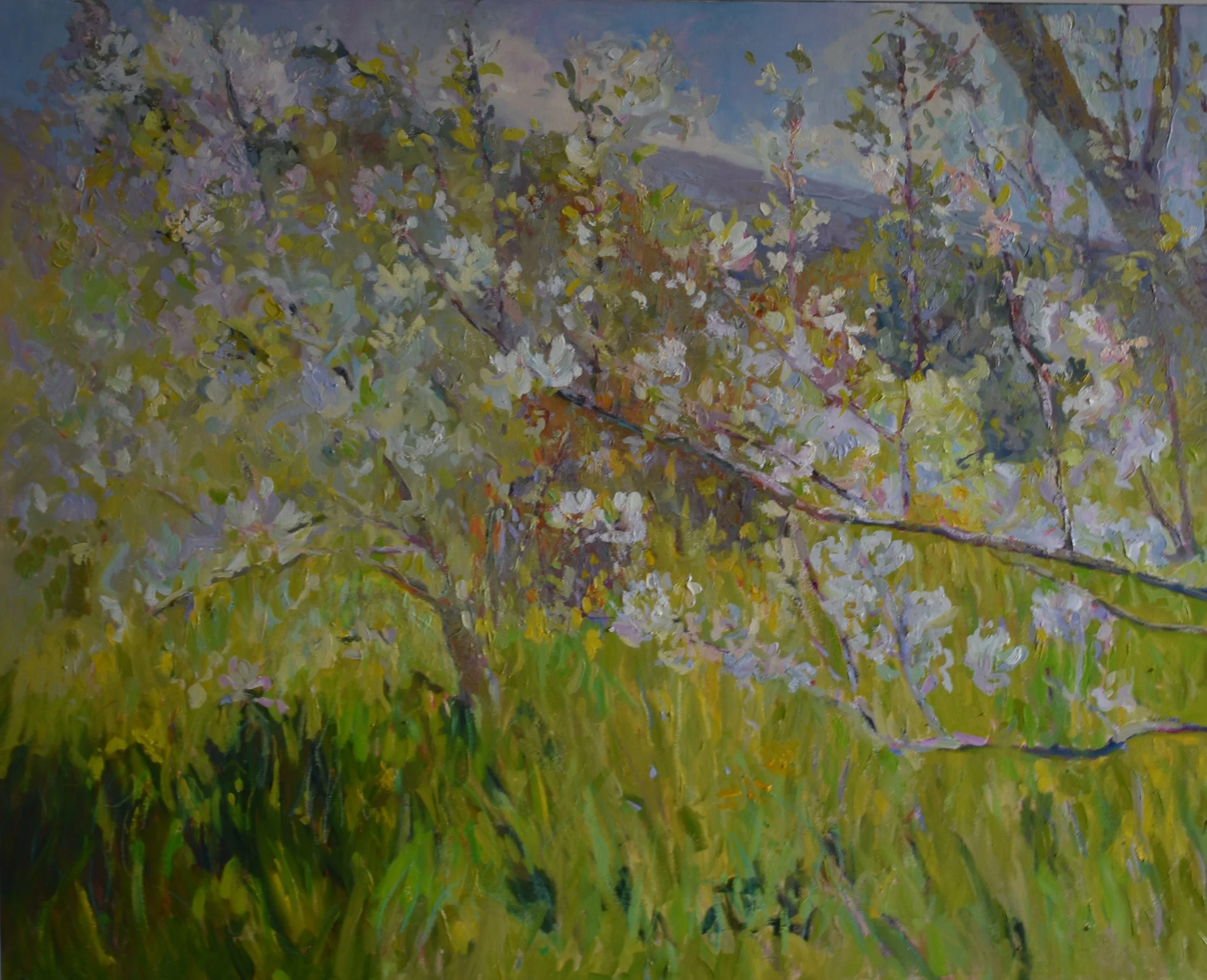 FionaPower_Spring Garden_Oil on Canvas _82x102cm _€2800.jpg