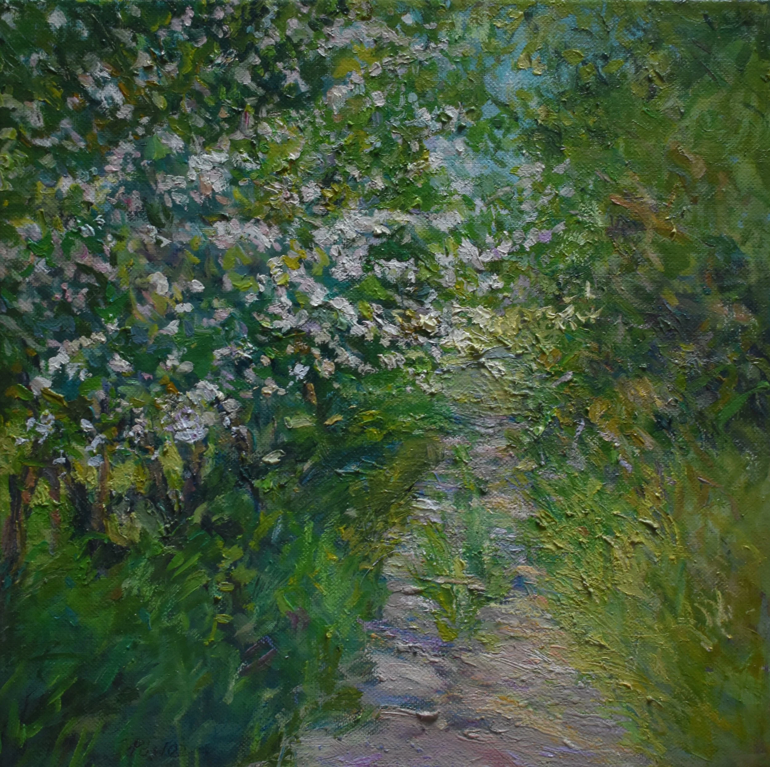 FionaPower_HawthornBoreen_Oil on Canvas_38.5x38.5_€700.JPG