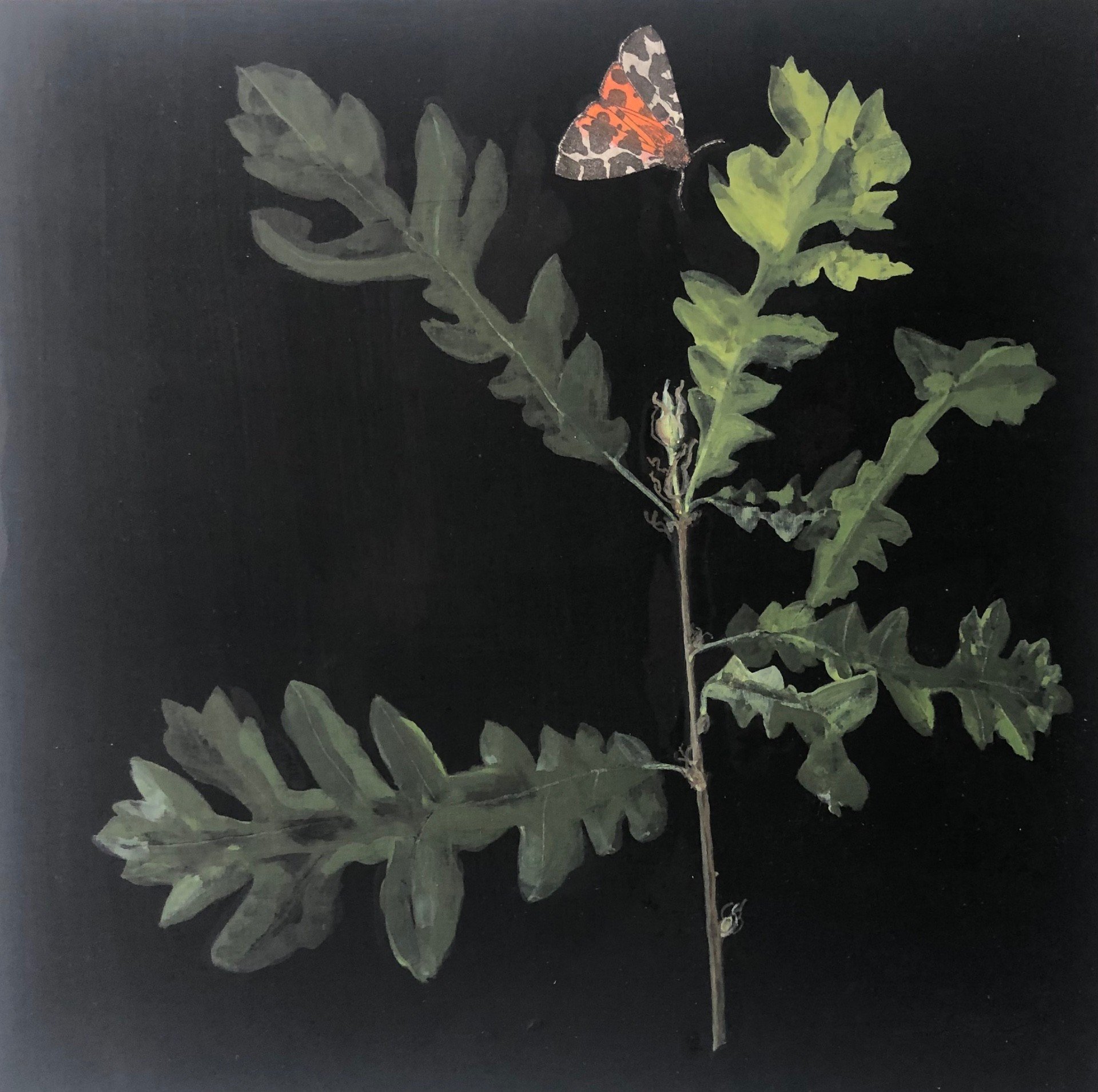 Cliona Doyle, Oak with Tiger Moth 