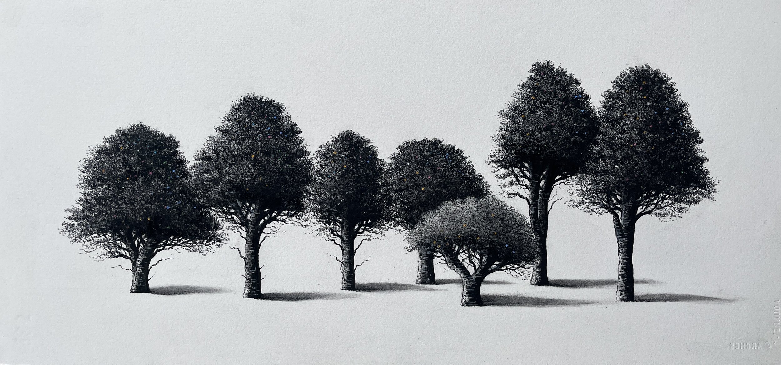 Sorca O'Farrell'seven sisters' charcoal 26 x 50 cm 700.jpg
