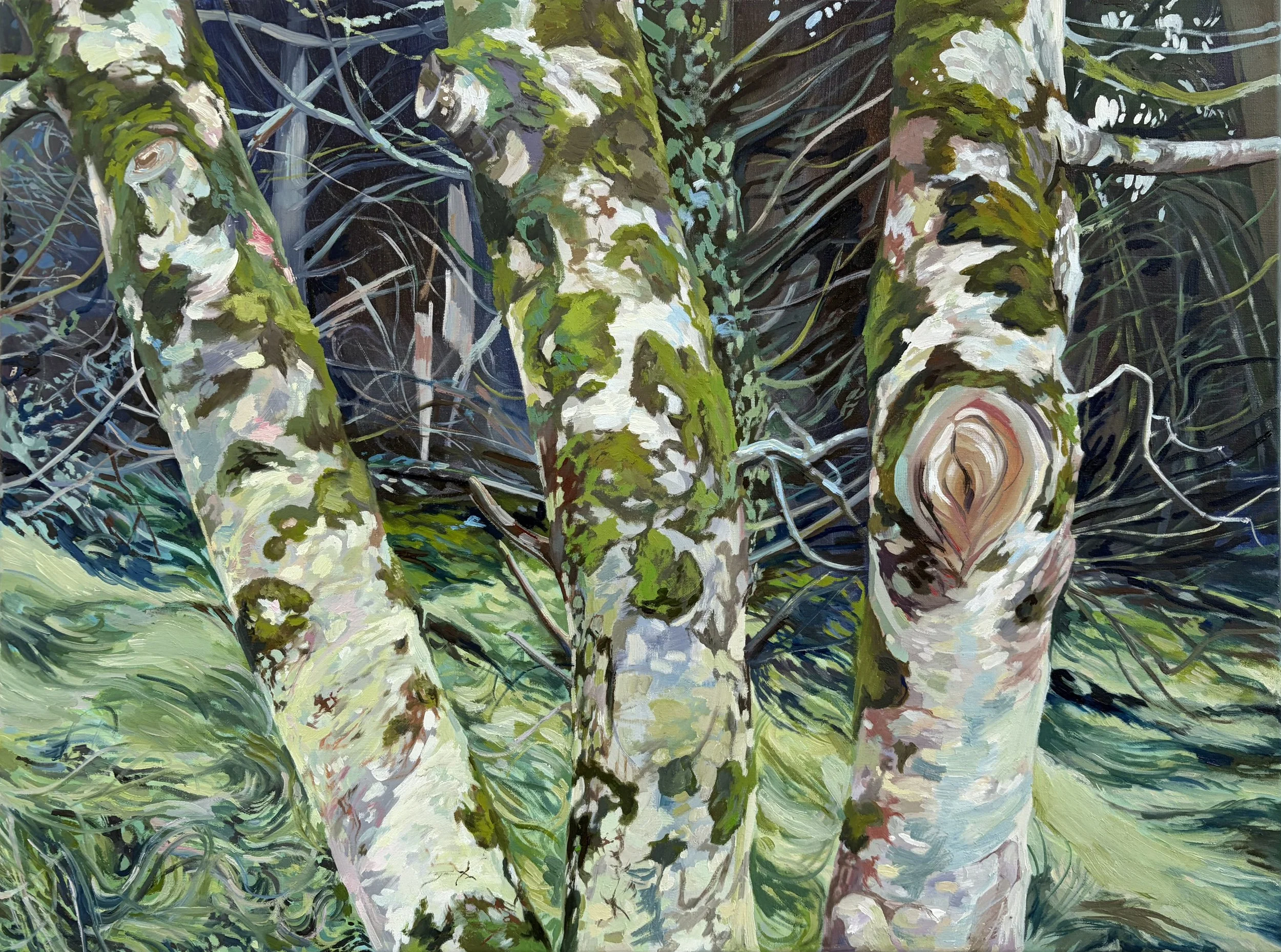 Marita O'Hanlon - Tree Trunks - Oil on Linen - 45.5 x 61cm - 420 2026.jpeg