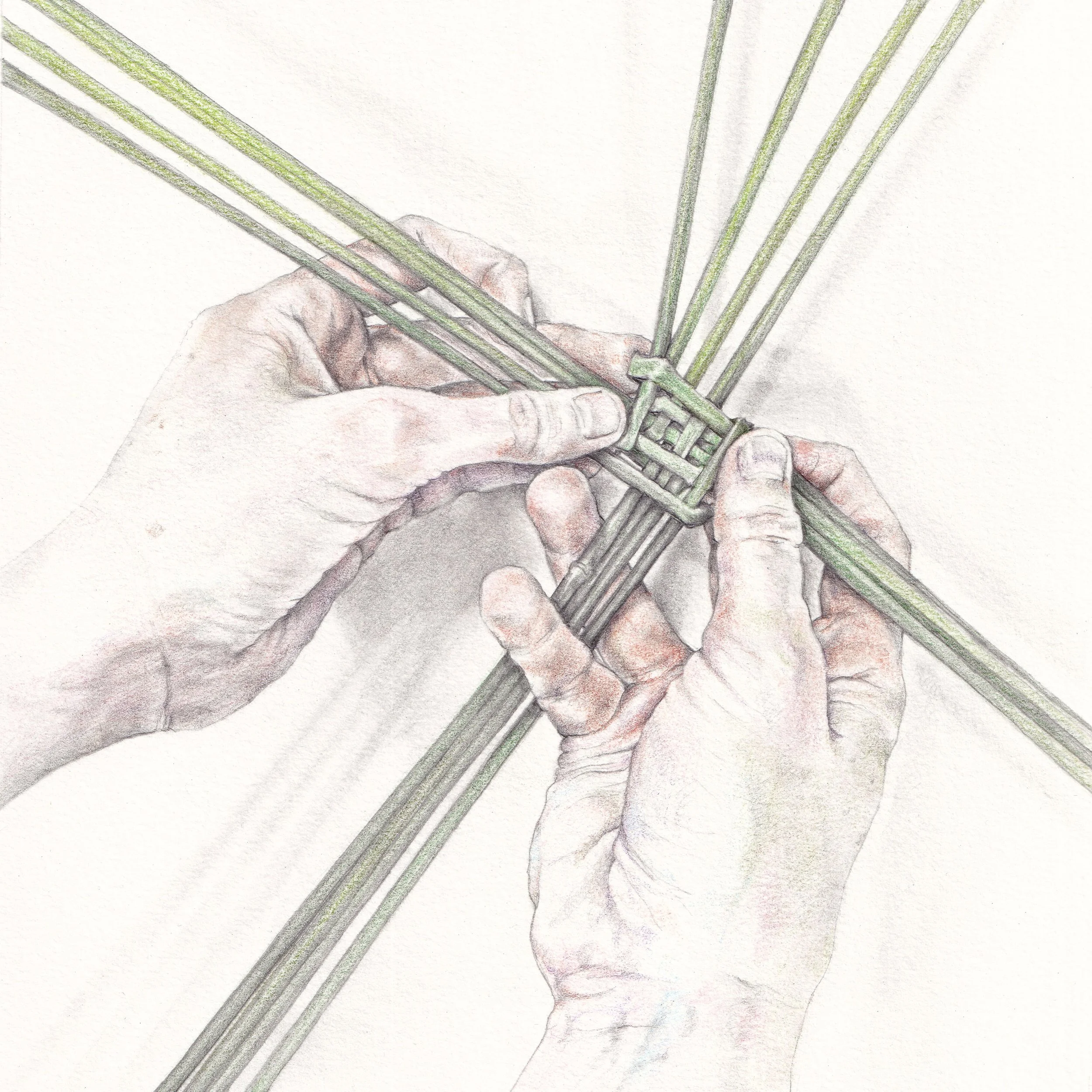 added FionaCarswell-Crafted-Pencil_on_paper-21x21cm-400euro.jpg