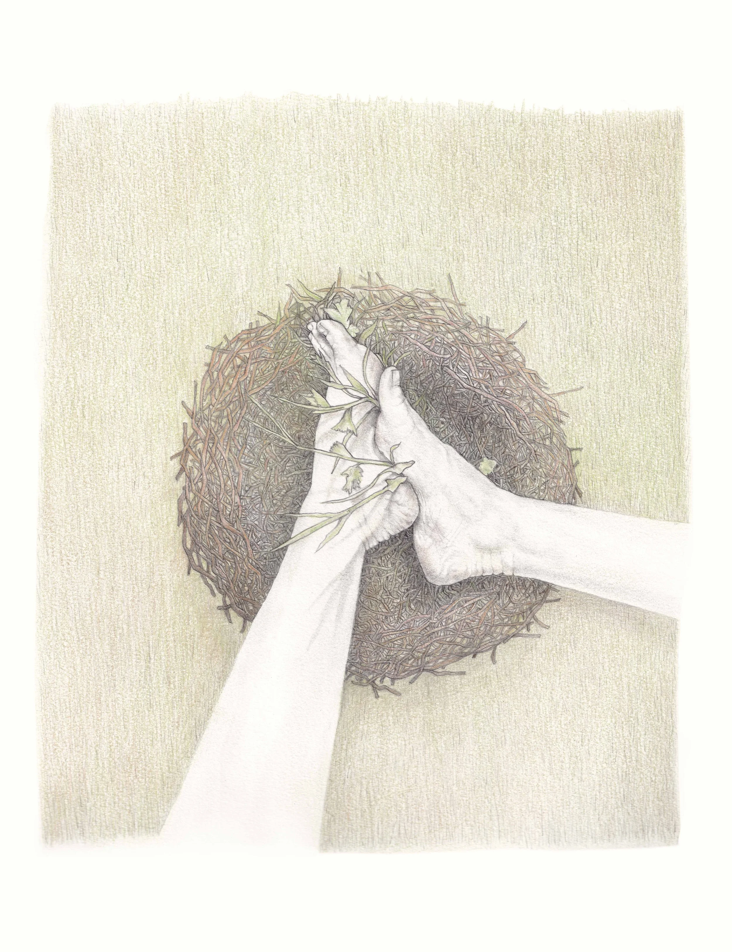 FionaCarswell-Nested-Pencil_on_paper-25x34cm-500euro.jpg