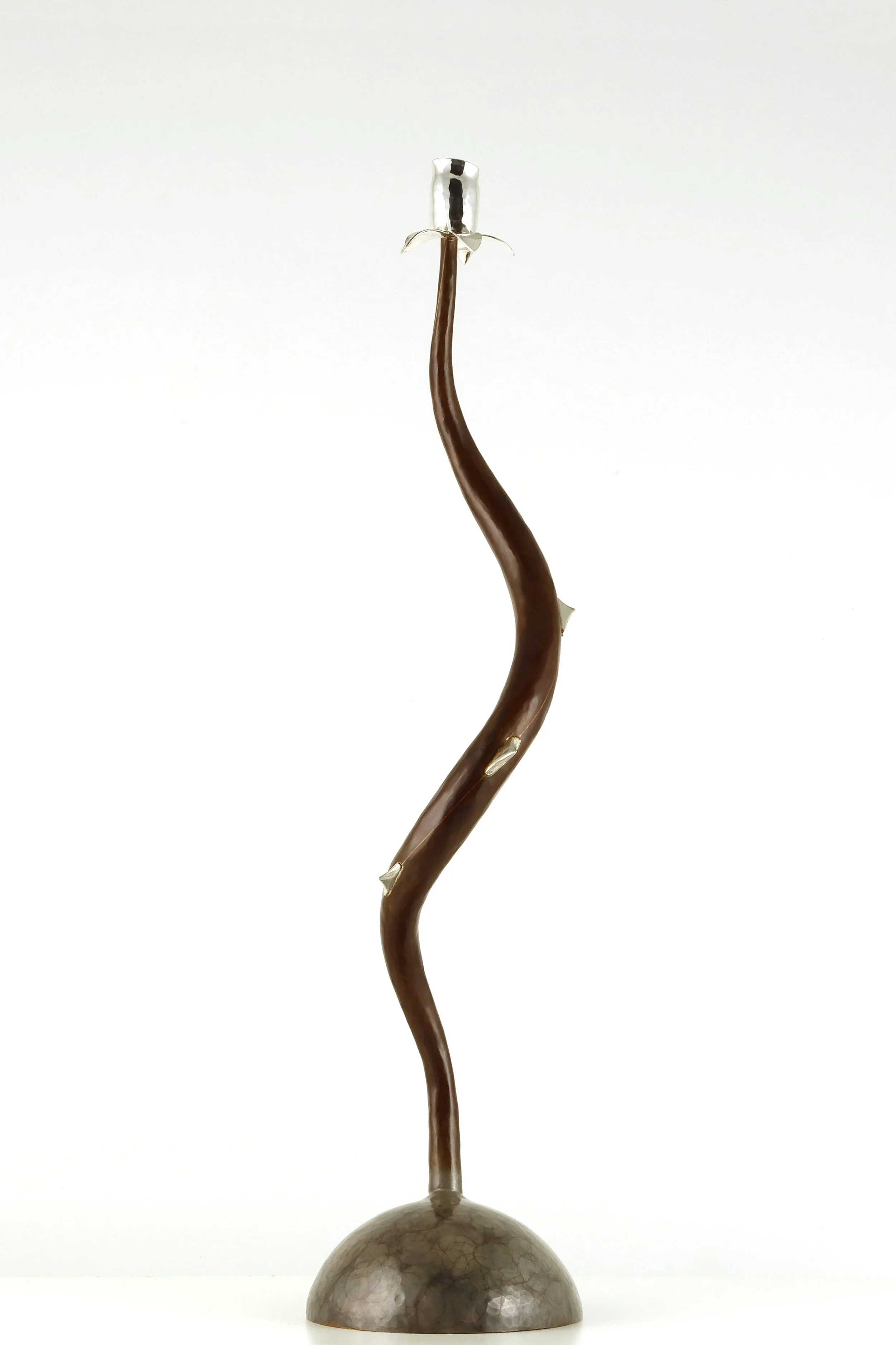 9 Seamus Gill, Silver Thorn 3, Sheet Bronze and Silver, 50x12cm, 2200, 2026.jpg