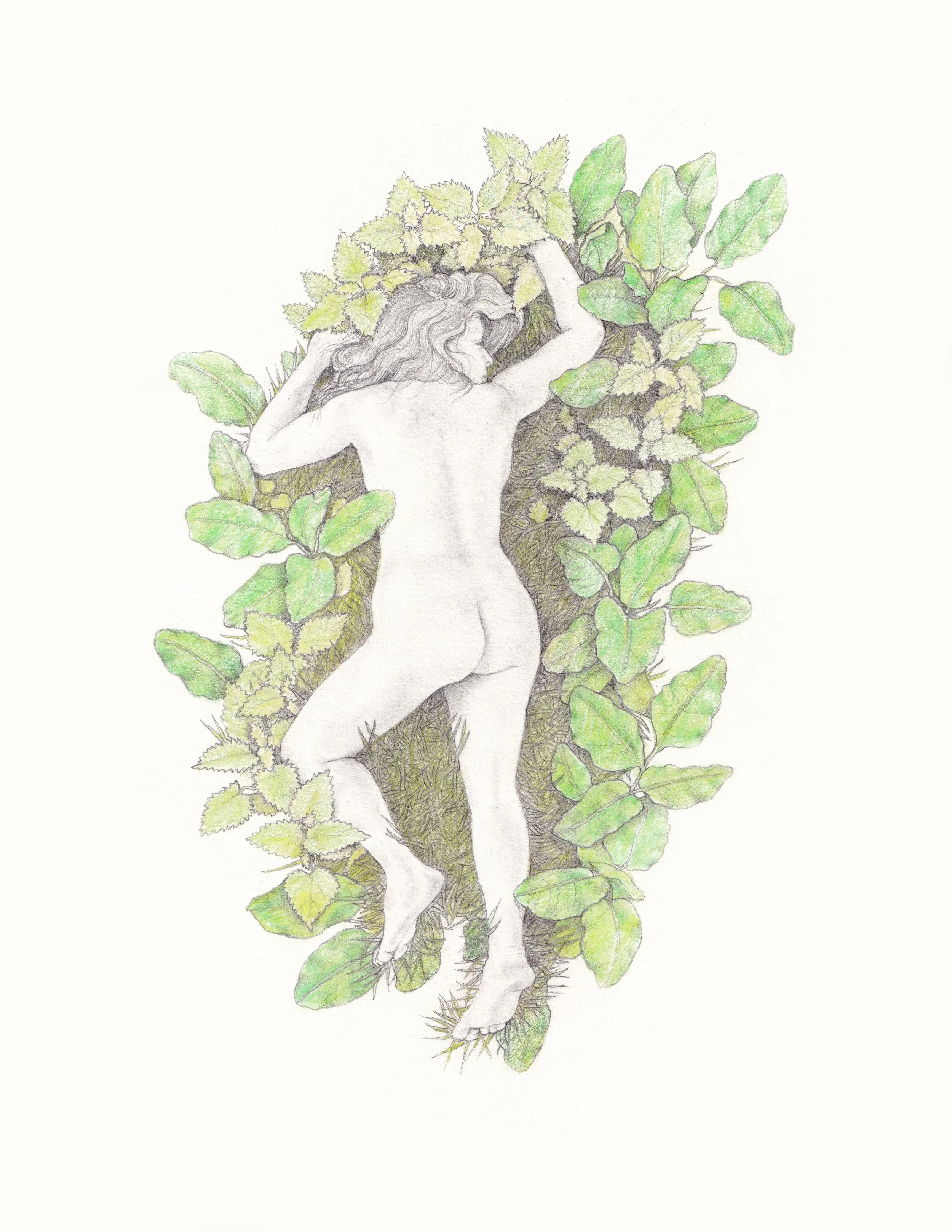 FionaCarswell-Stung&Soothed-Pencil_on_paper-22x31cm-350euro.jpg