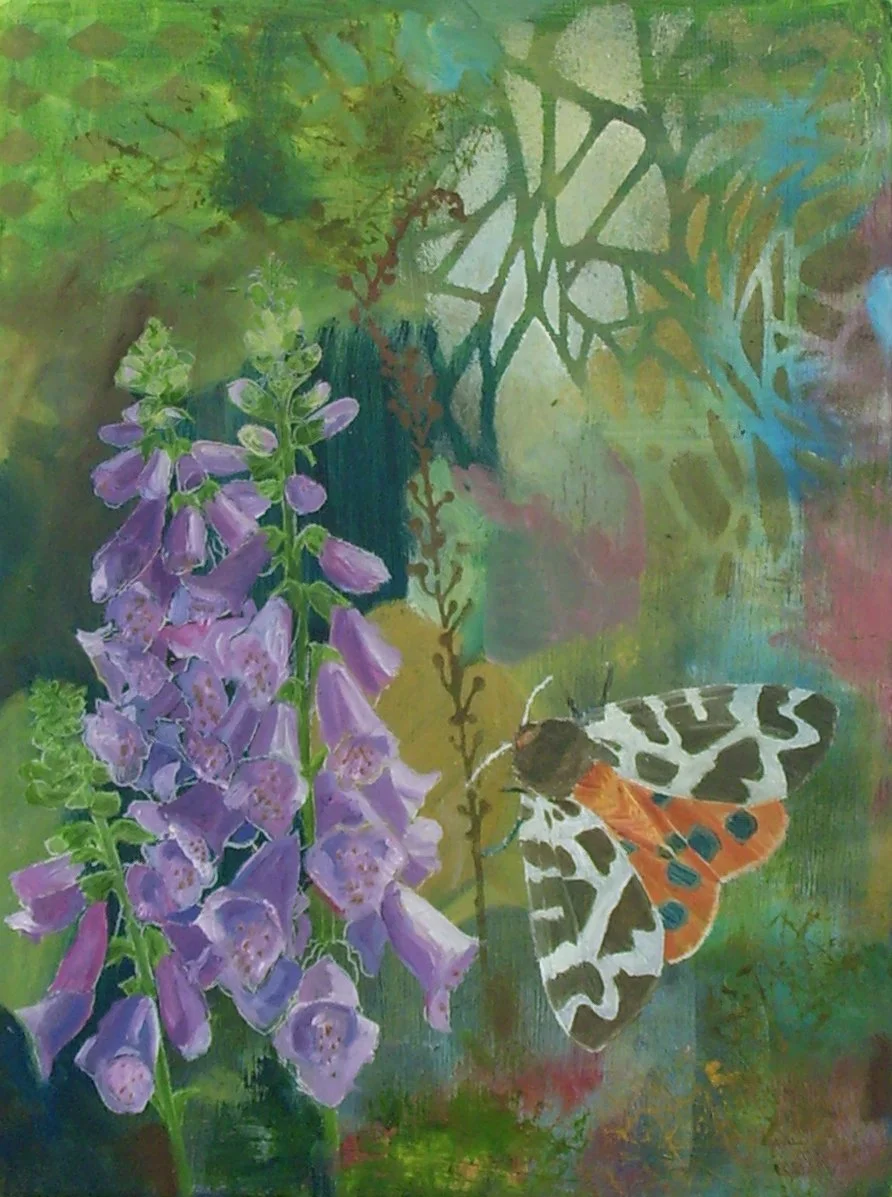 13 Garden Tiger Moth Oil on Board 40x30cm 620.JPG