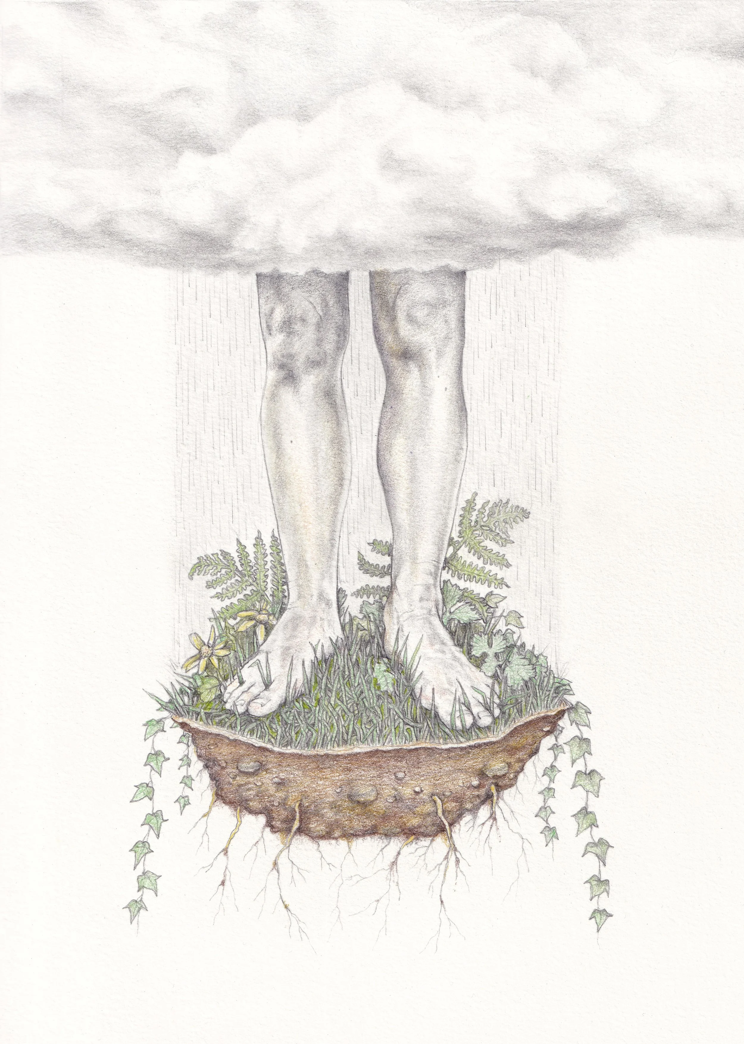FionaCarswell-Weathered-Pencil_on_paper-22x32cm-500euro.jpg