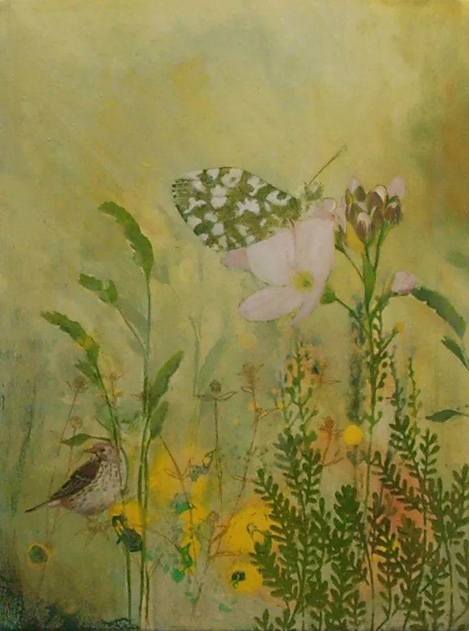 2 Cuckoo Flower Oil on Board 40x30cm 620.JPG