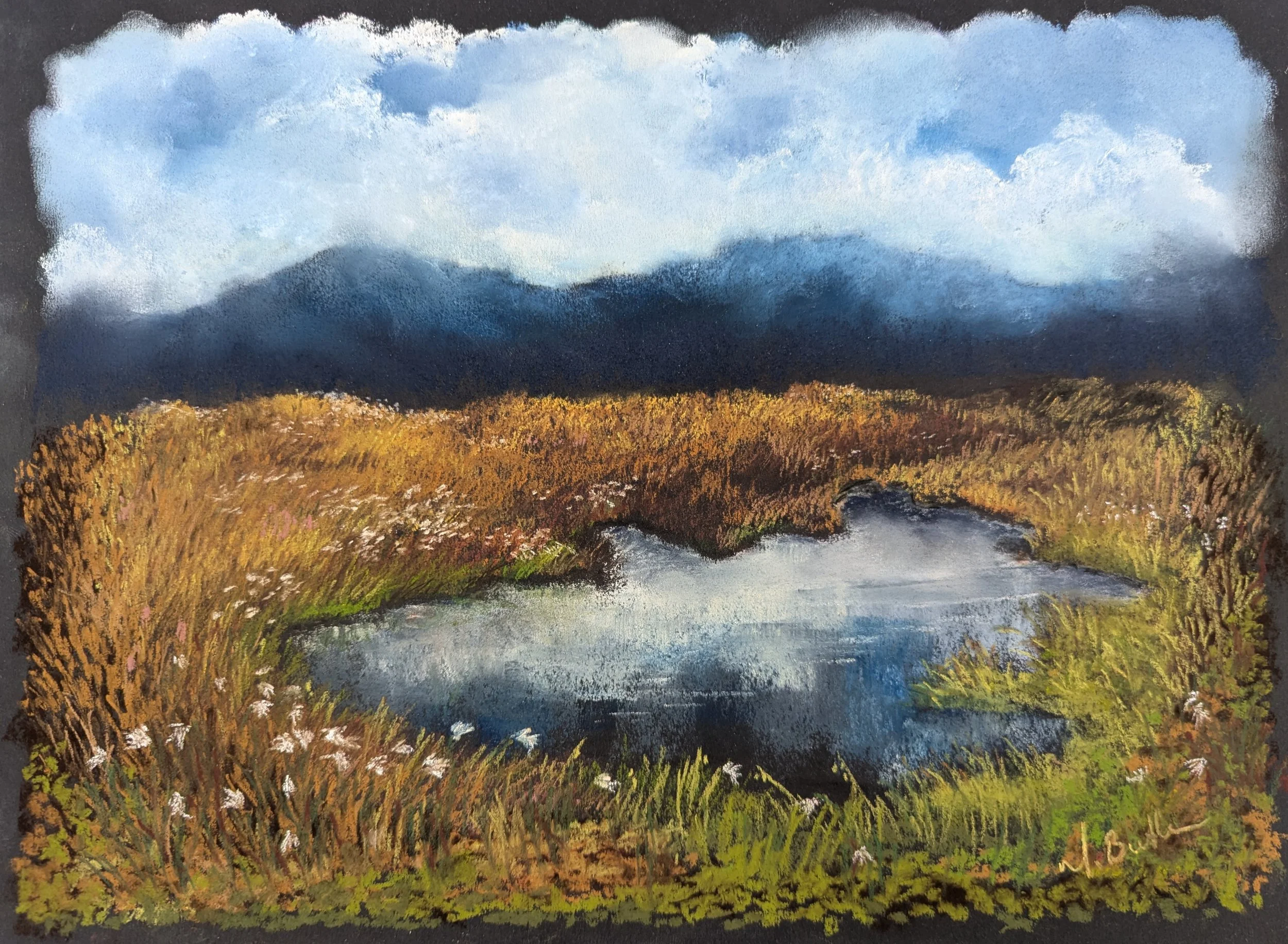 Martina Butler Bog Pool Soft Pastels on Fabriano Paper 56x46 380 2026.jpg