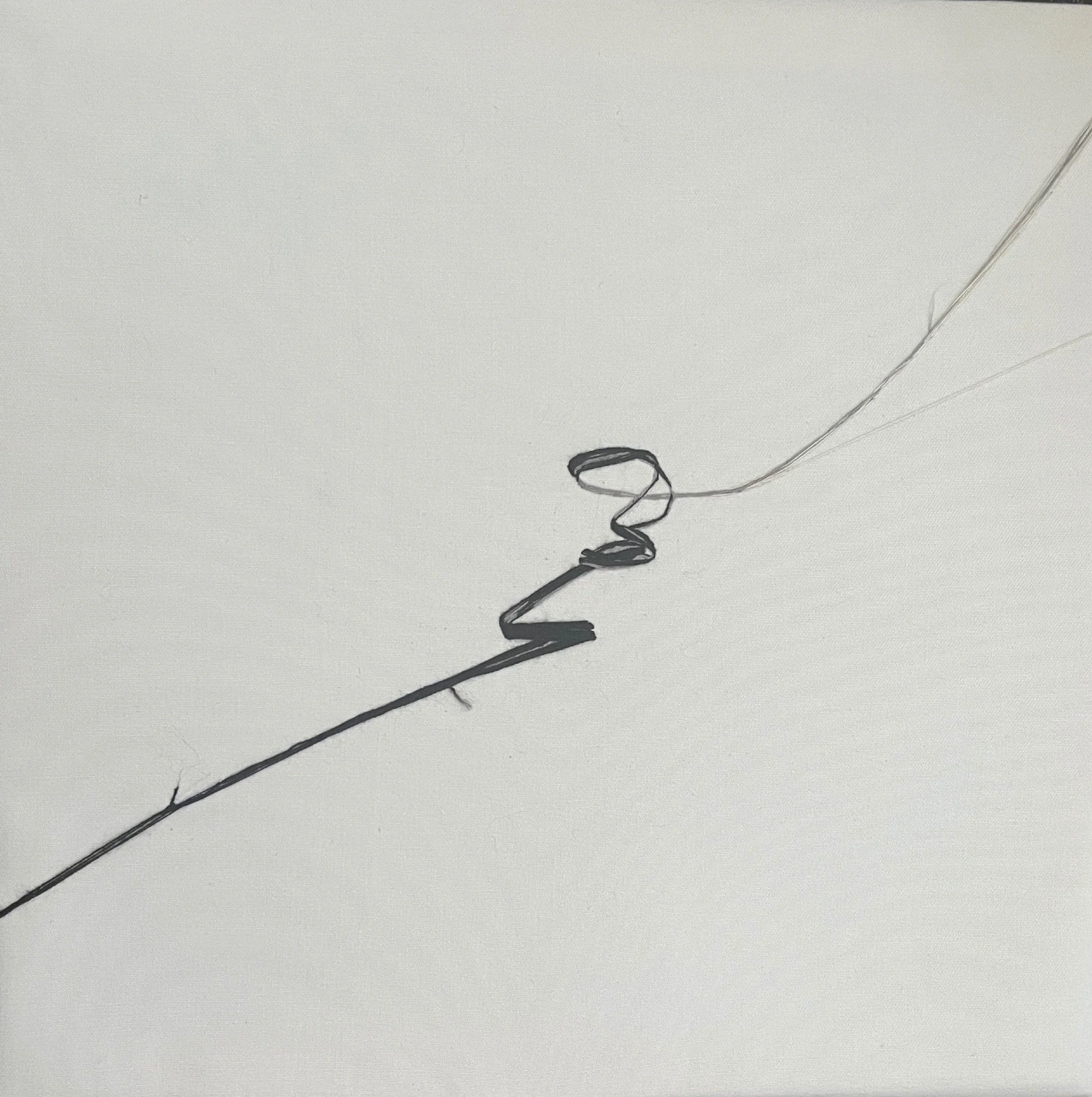 O'Dea Nuala, Scent of Sin, Embroidery, €350.jpeg