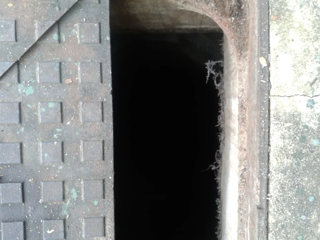 20130503_145123.jpg