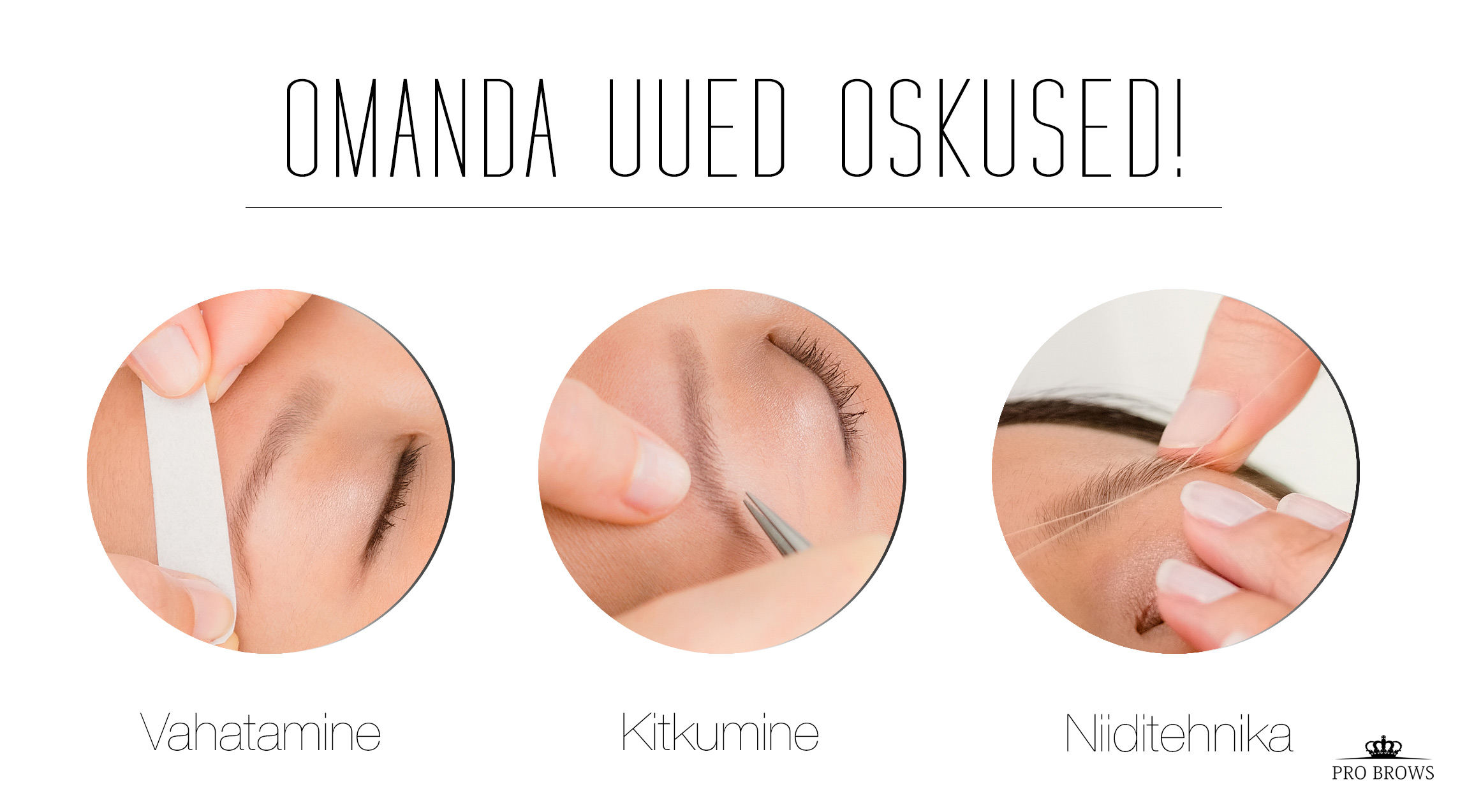 Copyright ProBrows Eesti.