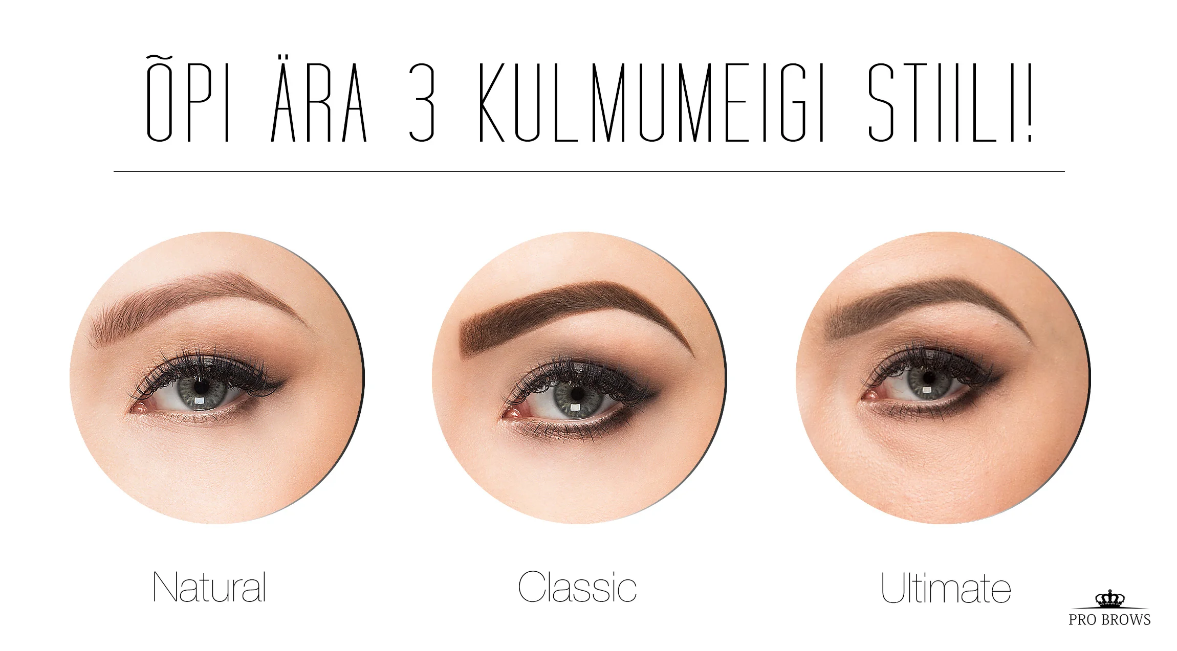Copyright ProBrows Eesti.