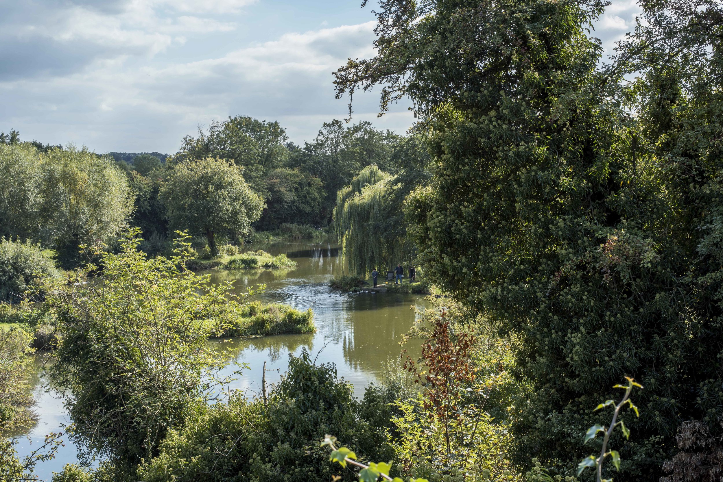 St Albans in Summer