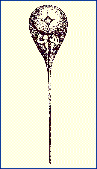 realboats4sale :
“A picture by seventeenth-century microscopist Nicolaas Hartsoeker of the human sperm, showing it as containing a microscopic infant folded in a fetal position. This already-formed infant supposedly grew larger during fetal development, with the mother’s egg providing only the nutrition for its growth.”