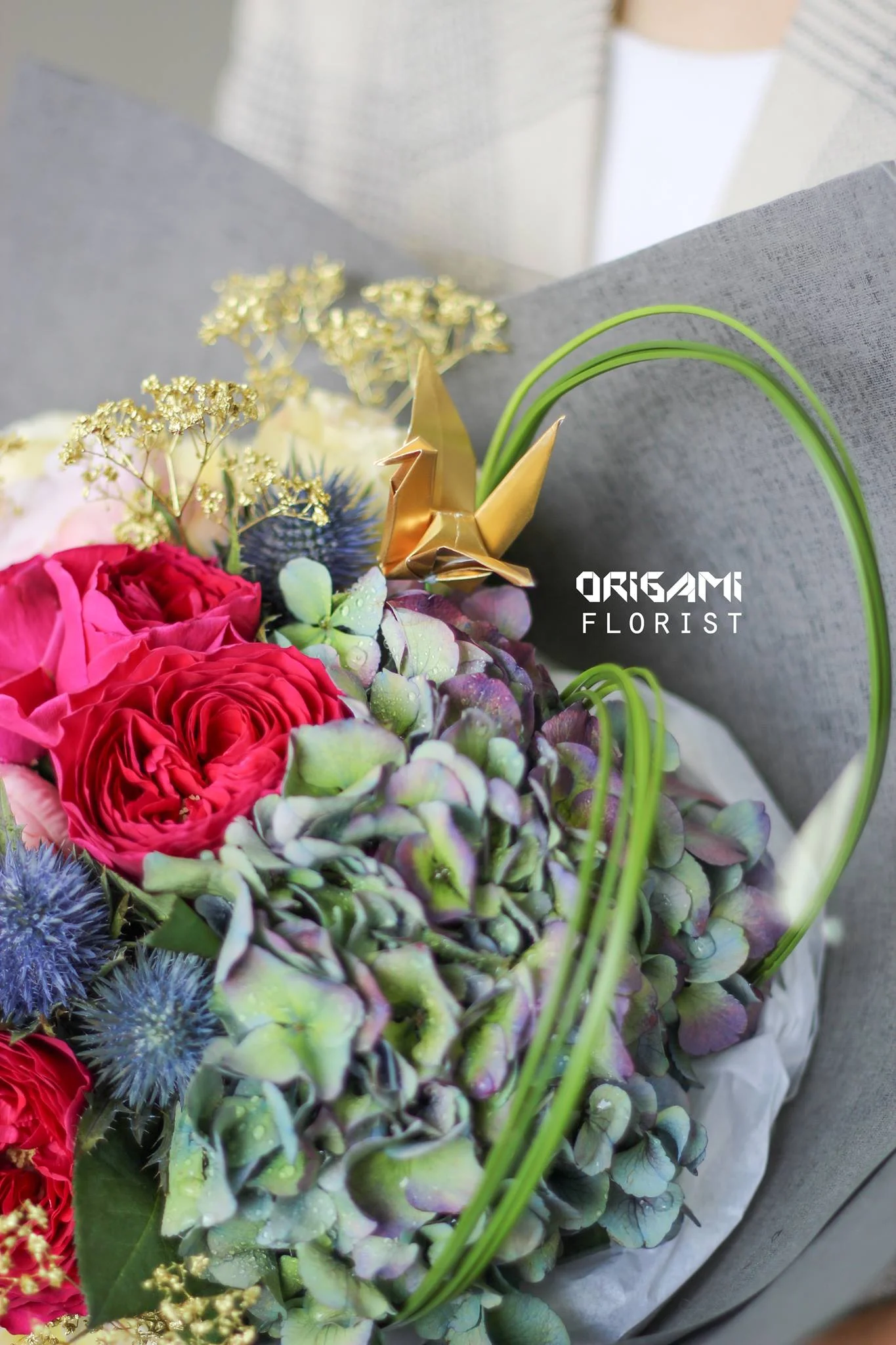 DAVID AUSTIN GARDEN ROSE