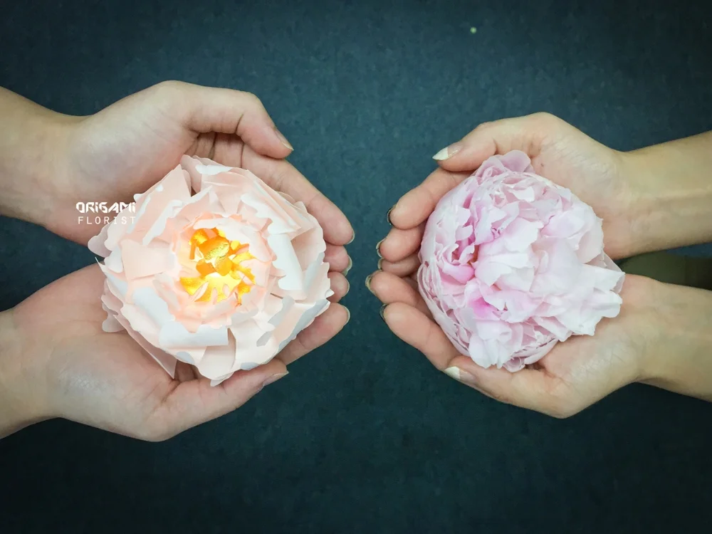 Paper vs Fresh