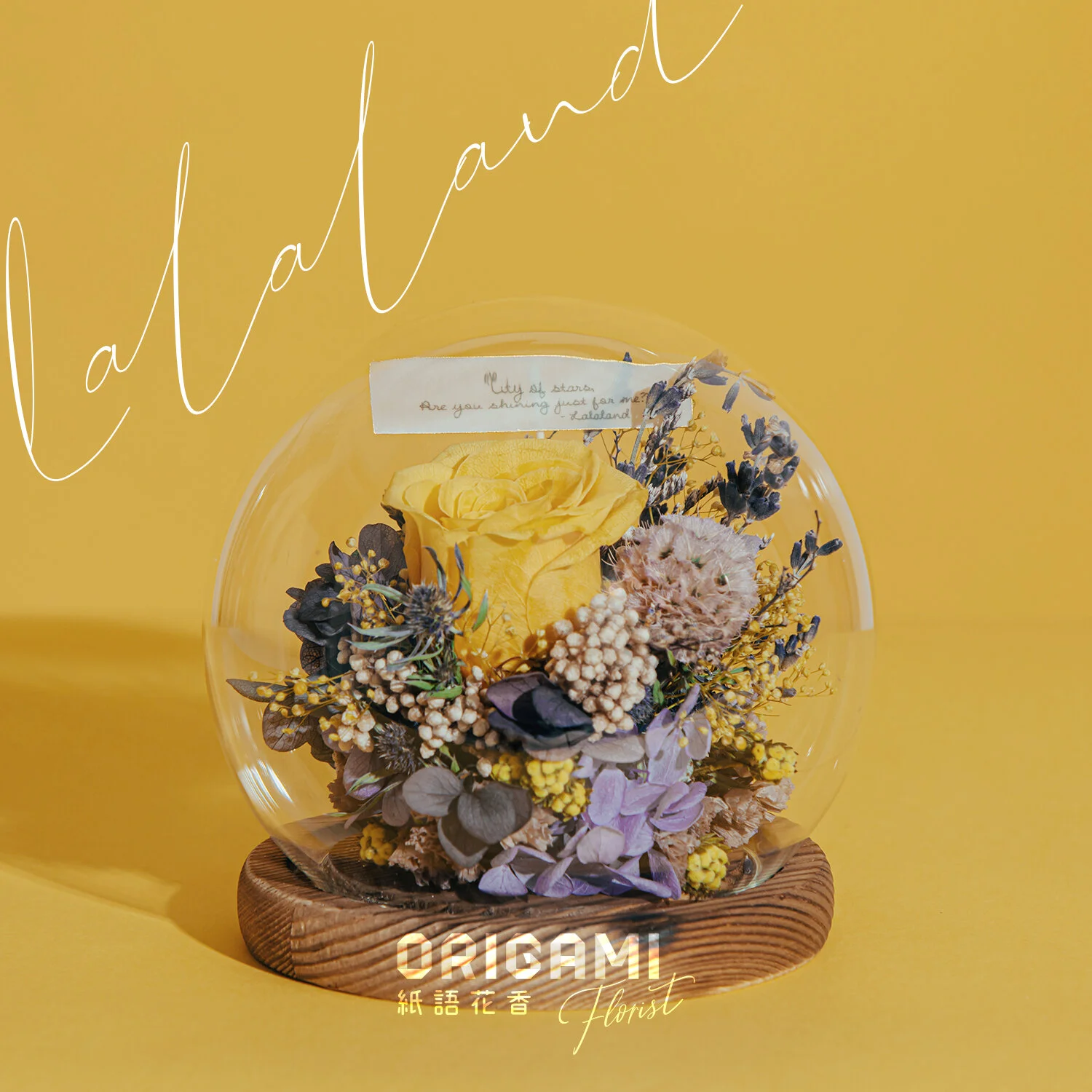 Preserved Glass Ball - Lalaland