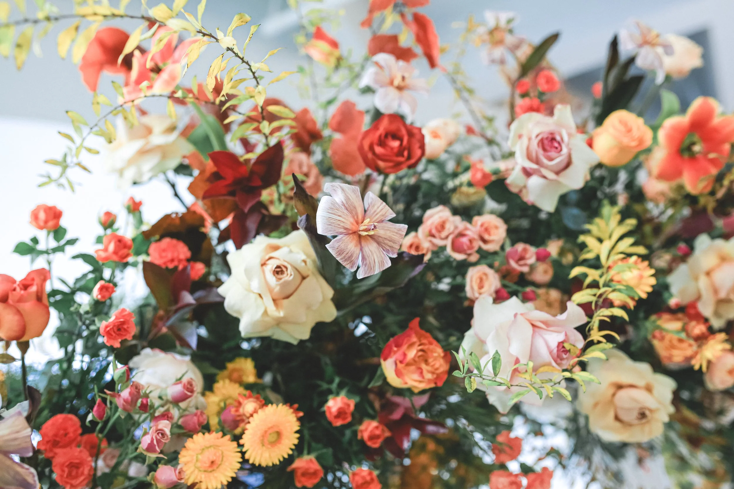 Charlotte& Gavin_FF1A0709.jpg