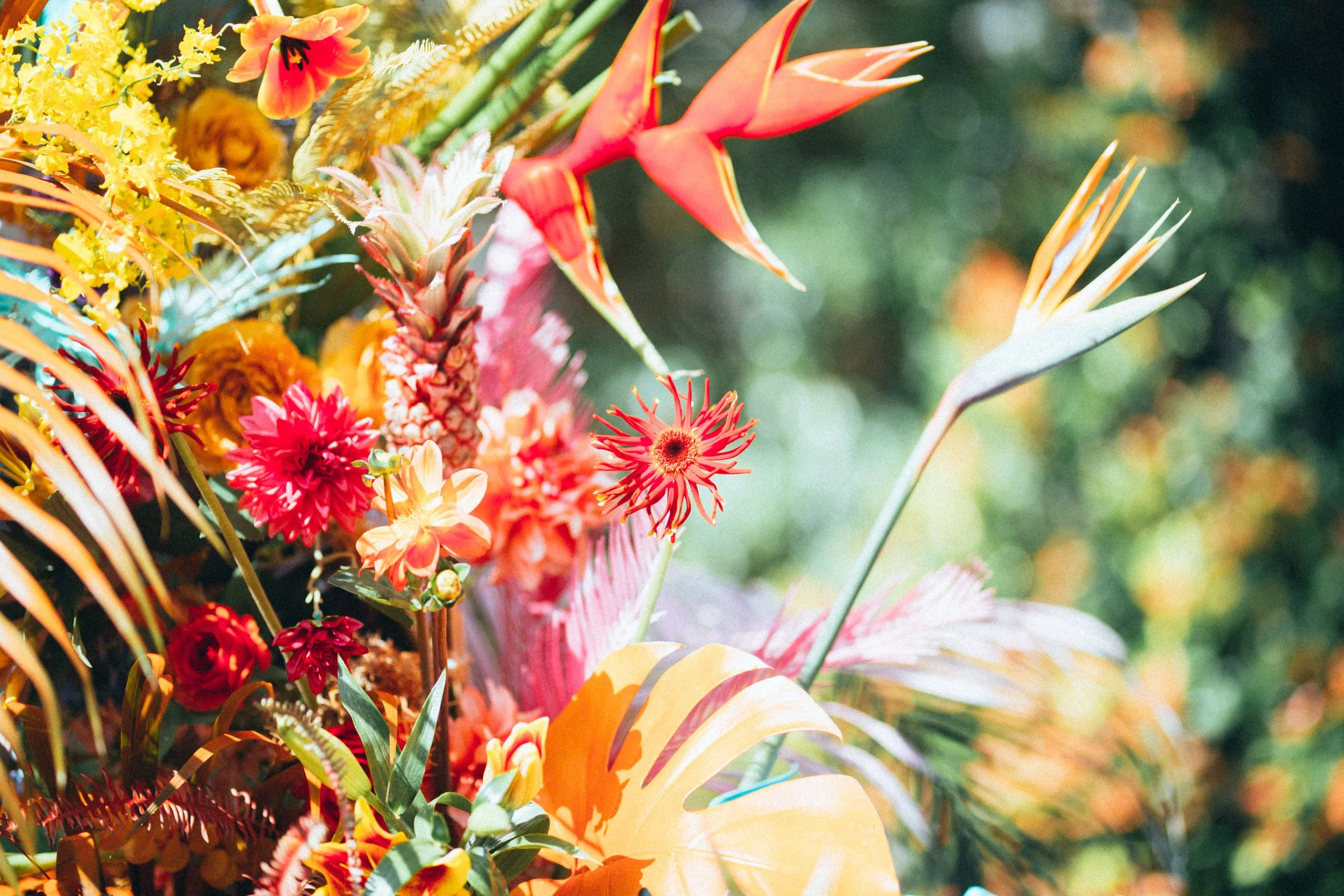 Phoebe & Jason_FF1A5903.jpg