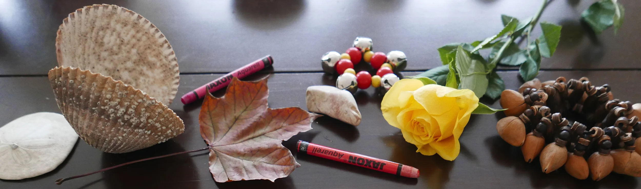 nature brown banner promotion.jpg