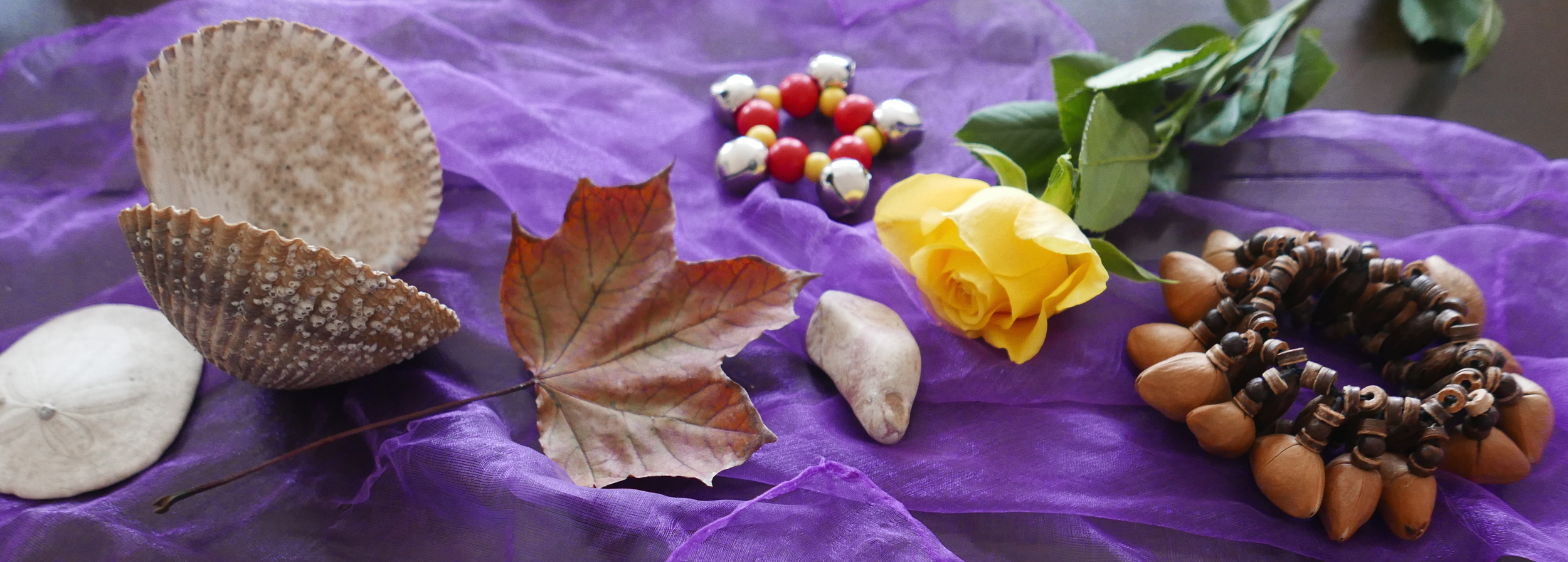 nature purple banner promotion.jpg