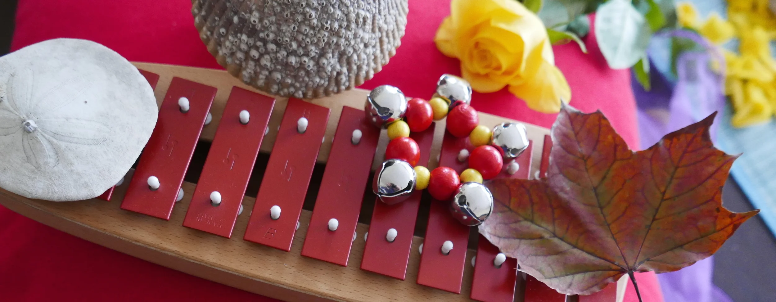 nature red banner promotion copy.jpg