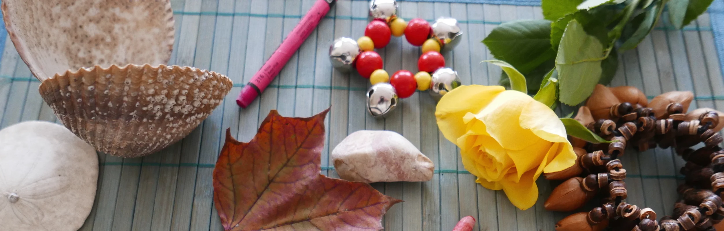 nature blue2 banner promotion.jpg