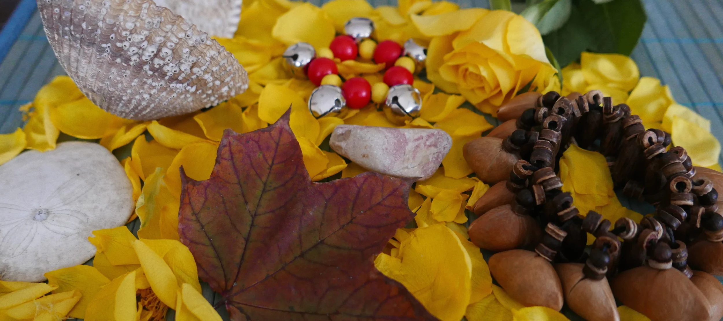 nature yellow banner promotion.jpg