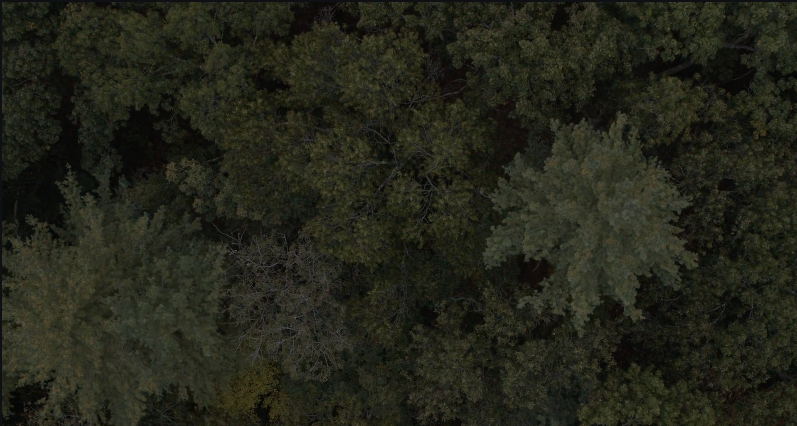 Screenshot 2019-10-19 at 20.44.48.png