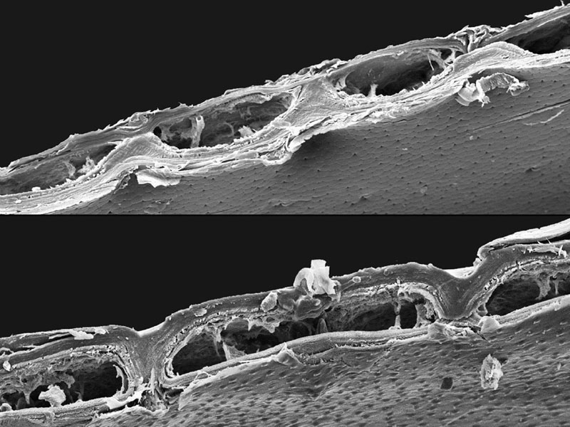 icd-itke_rp13-14_process06.jpg
