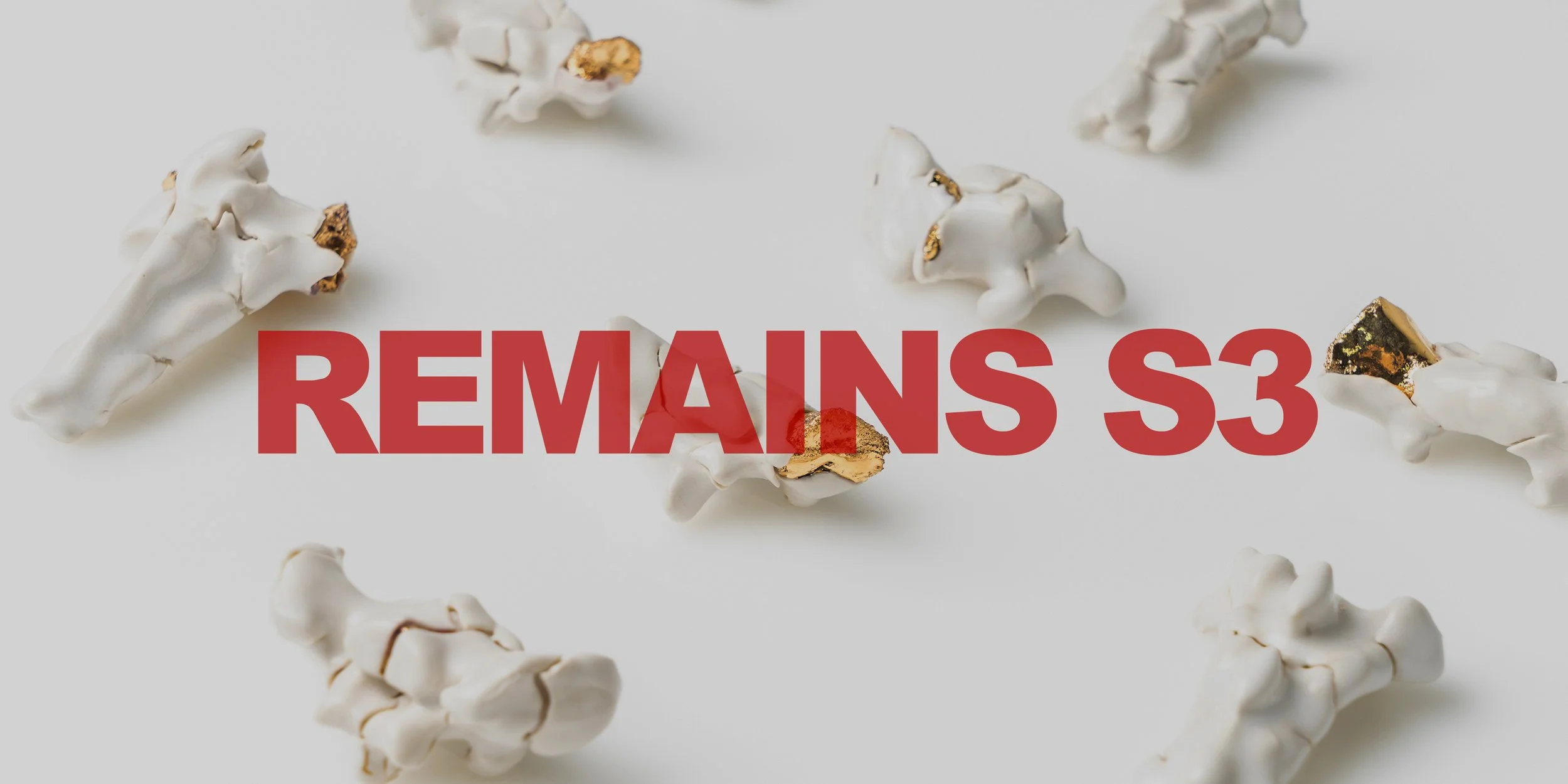 Remains Series 3 by Dan Elborne